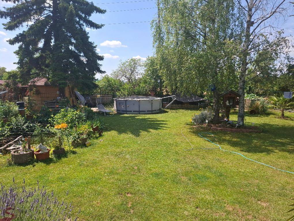 Großer Garten mit Rasenfläche, einem Aufstellpool und hohen Bäumen im Hintergrund.
