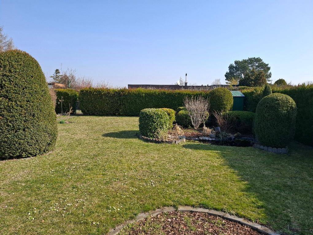 Gepflegter Gartenbereich mit dichten Hecken, Rasen und dekorativen Pflanzenbeeten.