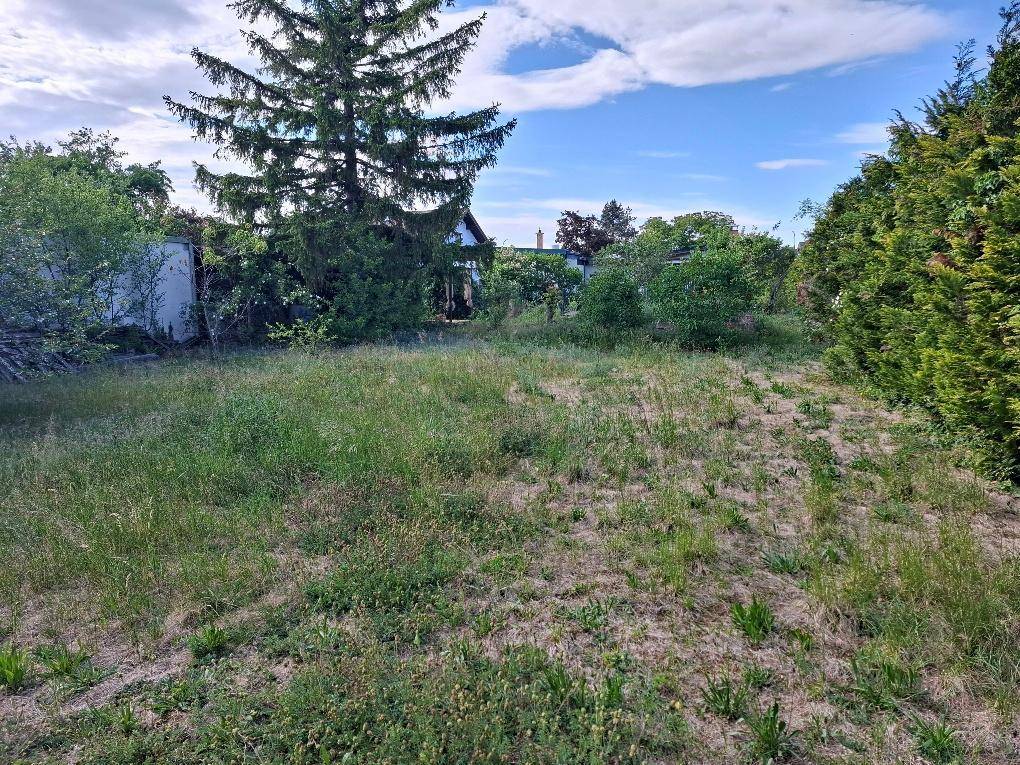 Felixdorf: Einfamilienhaus mit Keller, Garage und Carport auf einem sehr großen (teilbaren) Grundstück in toller Lage - View 4