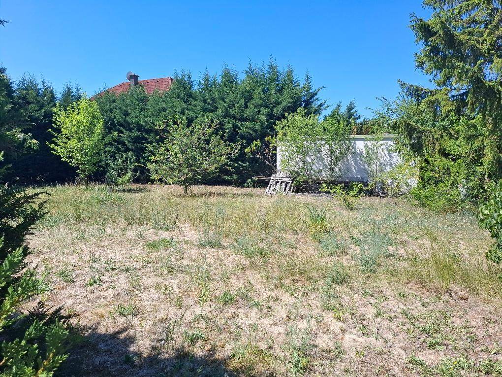Felixdorf: Einfamilienhaus mit Keller, Garage und Carport auf einem sehr großen (teilbaren) Grundstück in toller Lage - View 5