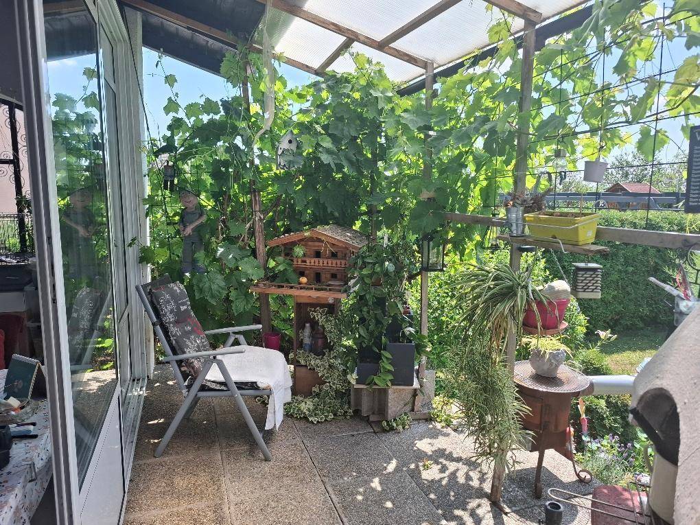 Gemütlicher Bereich im Wintergarten mit einem Stuhl und üppigen Rankpflanzen.