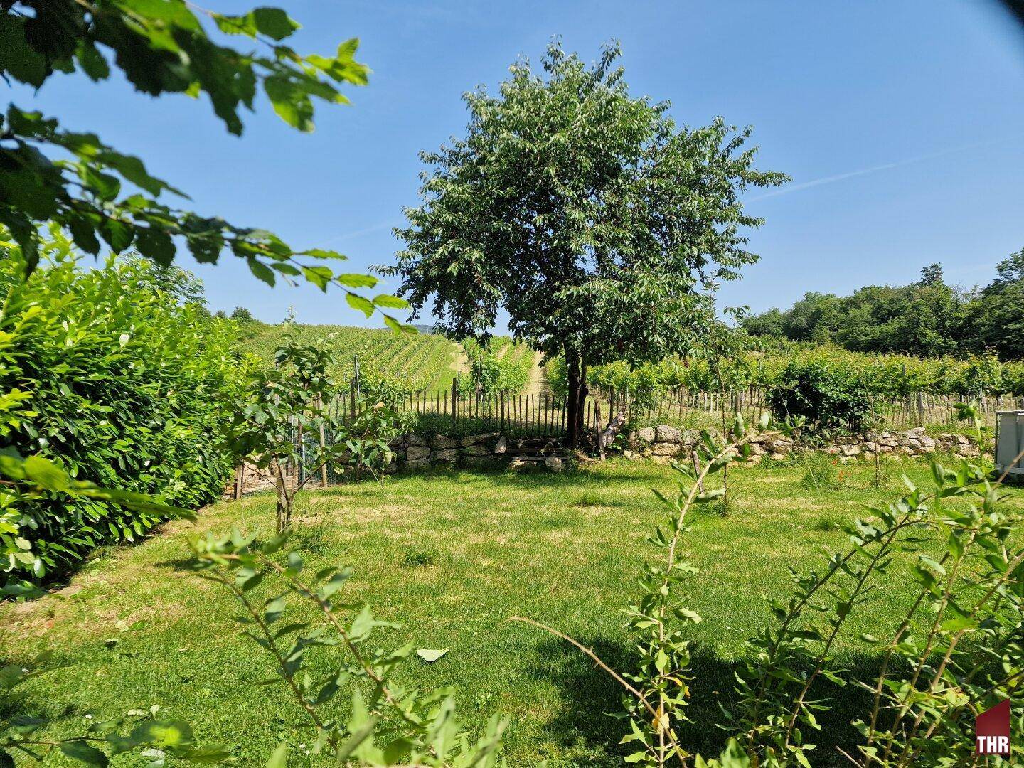 Aussicht vom Gemeinschaftsgarten