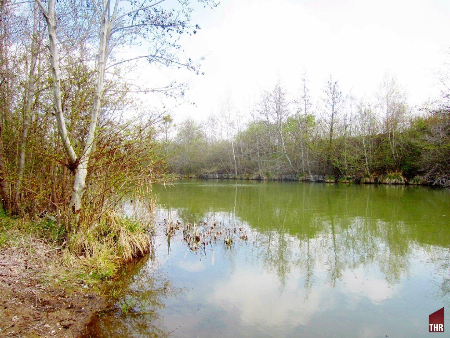 Marchfeldkanal