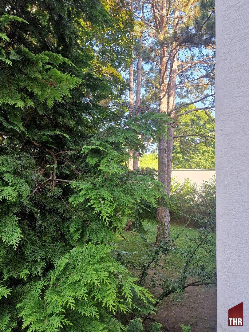 Ausblick Loggia