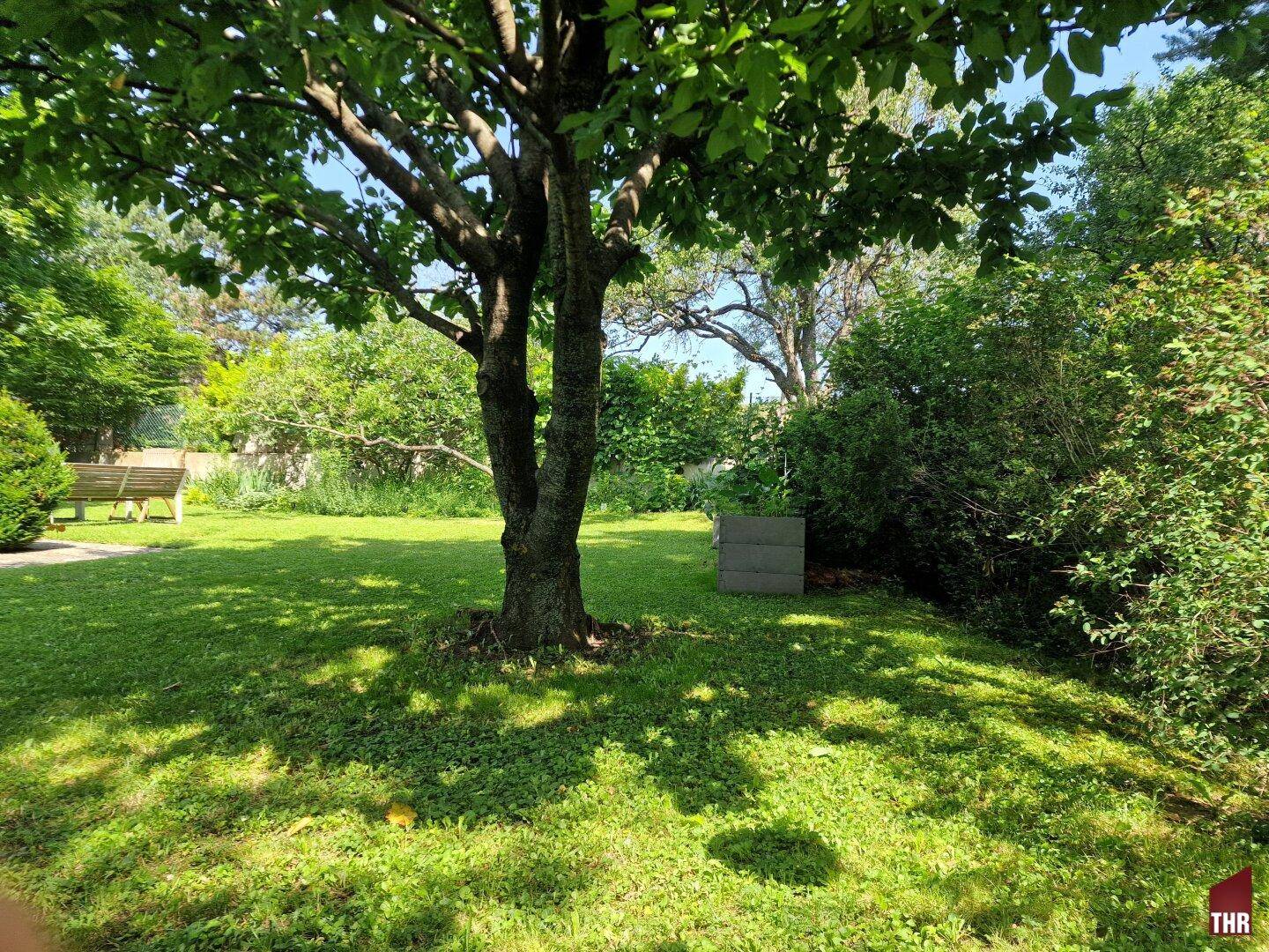 Gemeinschaftsgarten