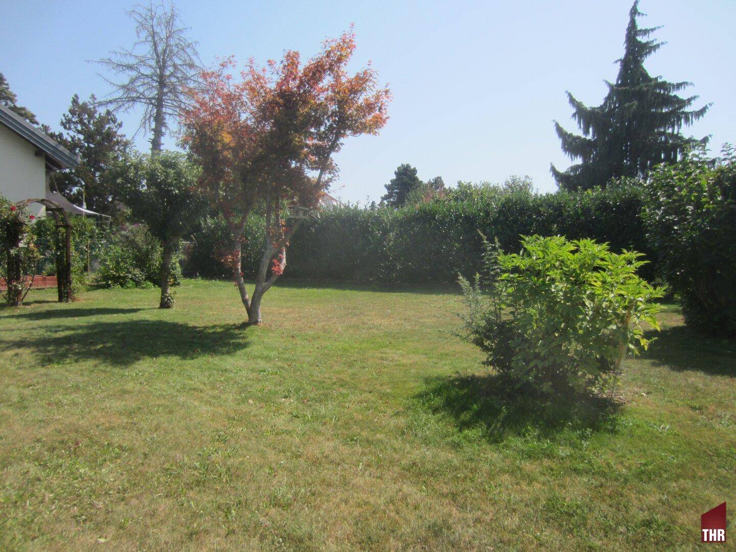 Garten 1