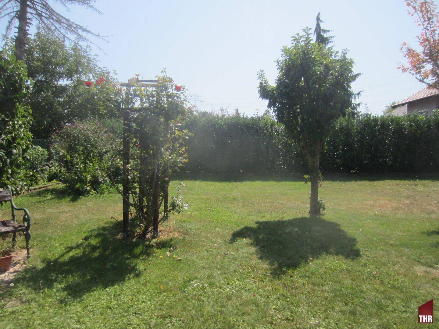Garten 2