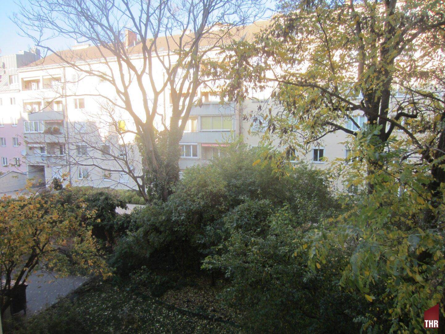 Blick ins Grüne mit dichtem Baumbestand und weiteren Wohngebäuden in der Ferne, was eine ruhige Aussicht bietet.