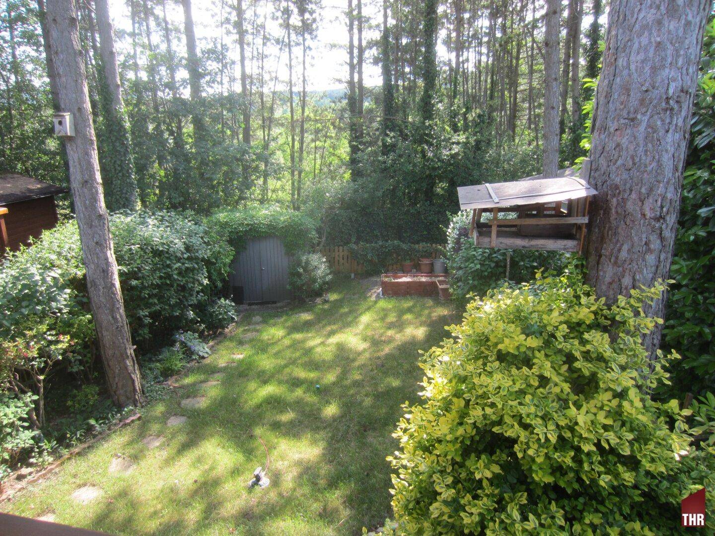 Gepflegter Gartenbereich mit Rasenfläche, hohen Bäumen und einem kleinen Gartenhaus im Hintergrund.