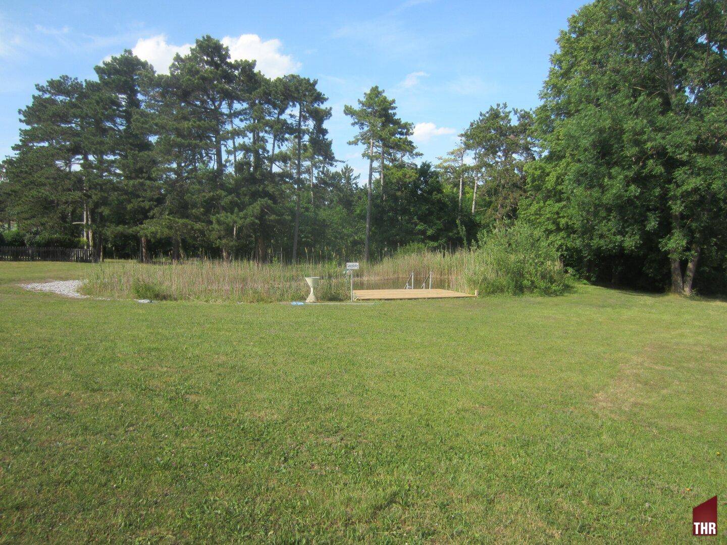 Weitläufige Rasenfläche mit einem natürlichen Teich und Schilf im Hintergrund unter blauem Himmel.