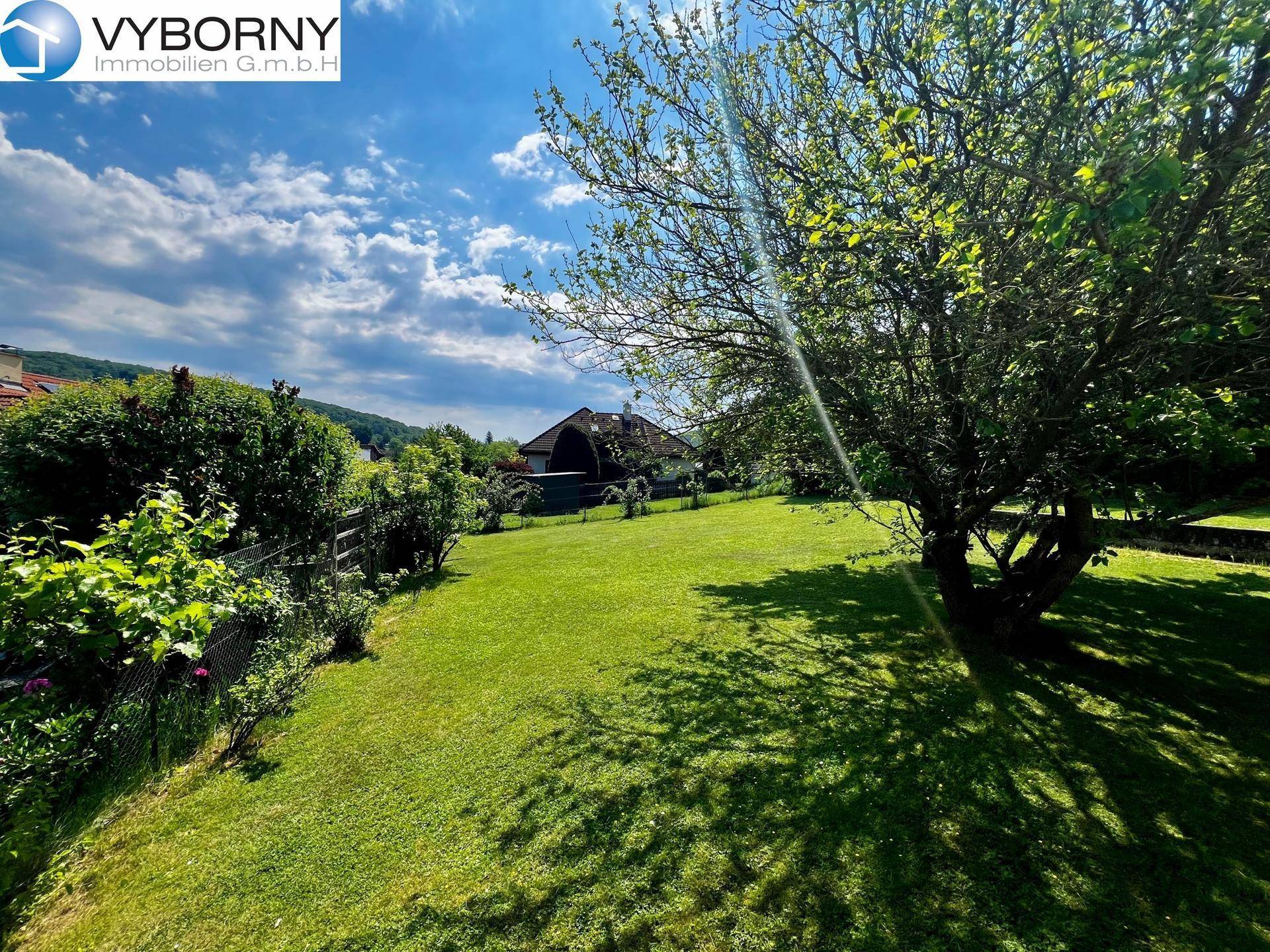 Großer, sonniger Garten mit altem Baumbestand und weitem Blick in die grüne Umgebung.