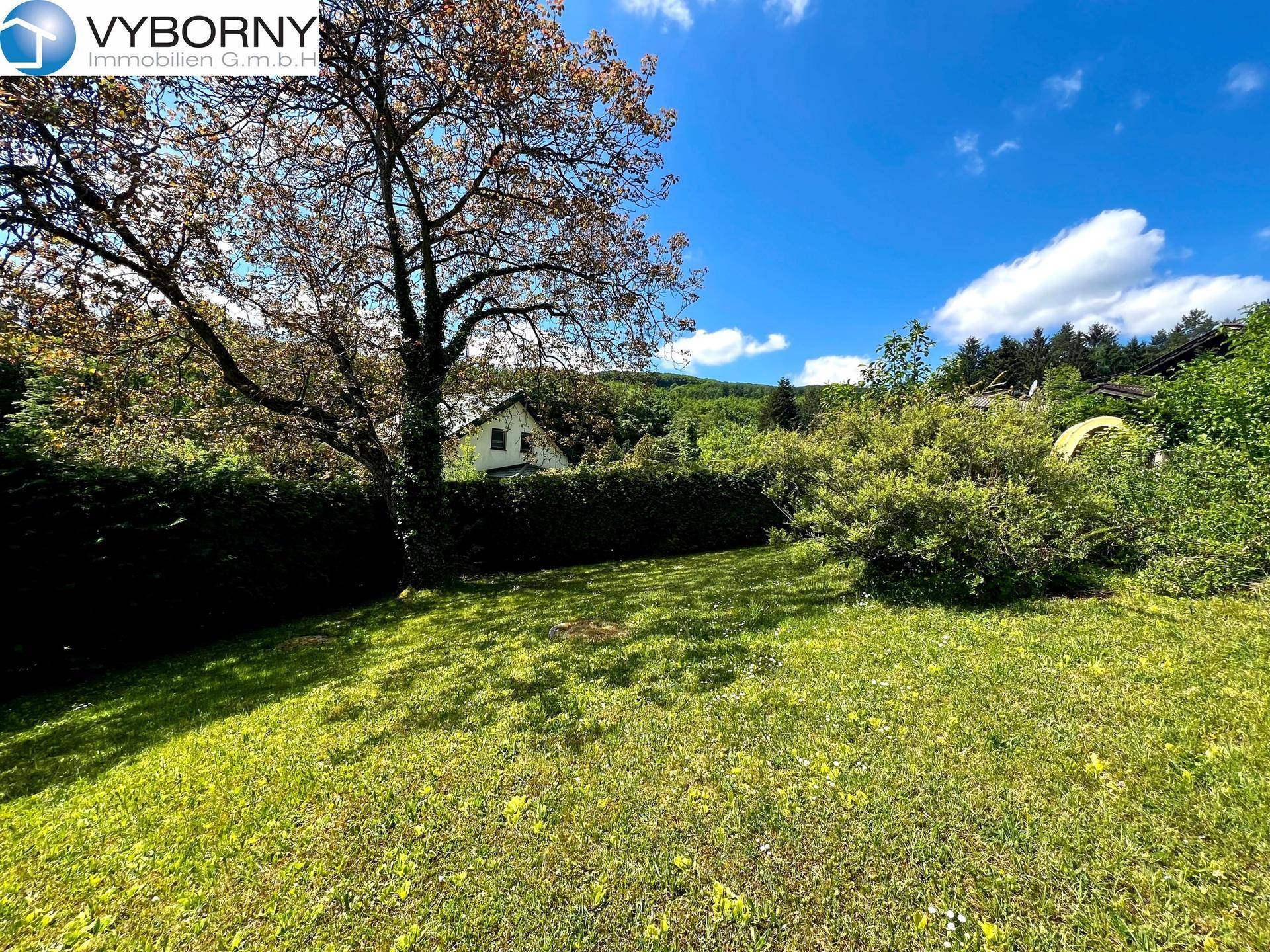 Weitläufiger, sonniger Garten mit Rasenfläche, altem Baumbestand und Blick auf die Umgebung.