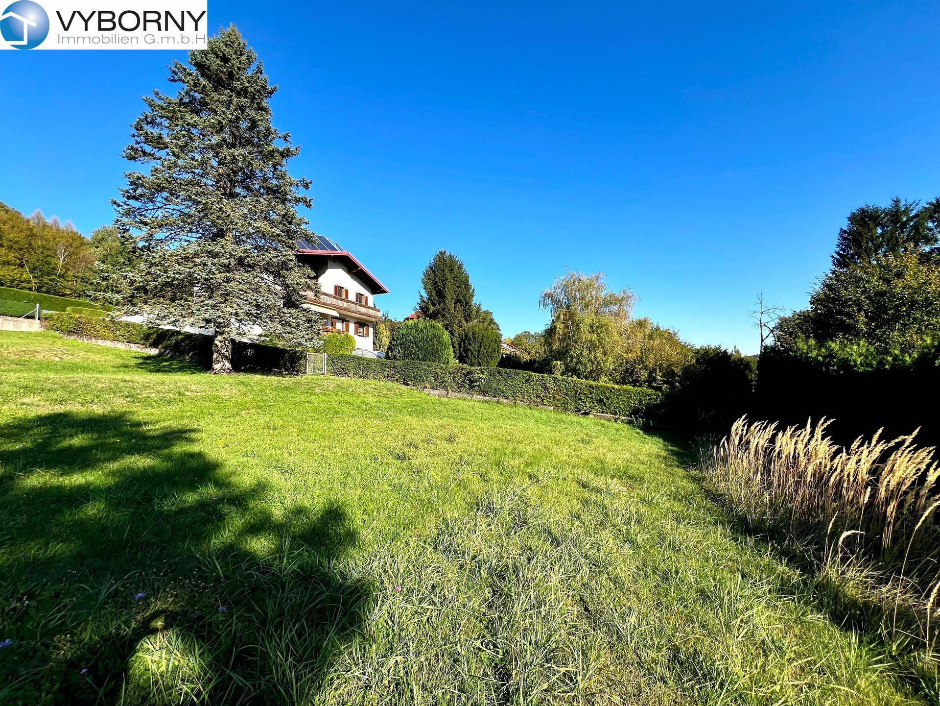 Weitläufiger sonniger Garten mit Blick auf ein Wohnhaus und natürliche Vegetation.
