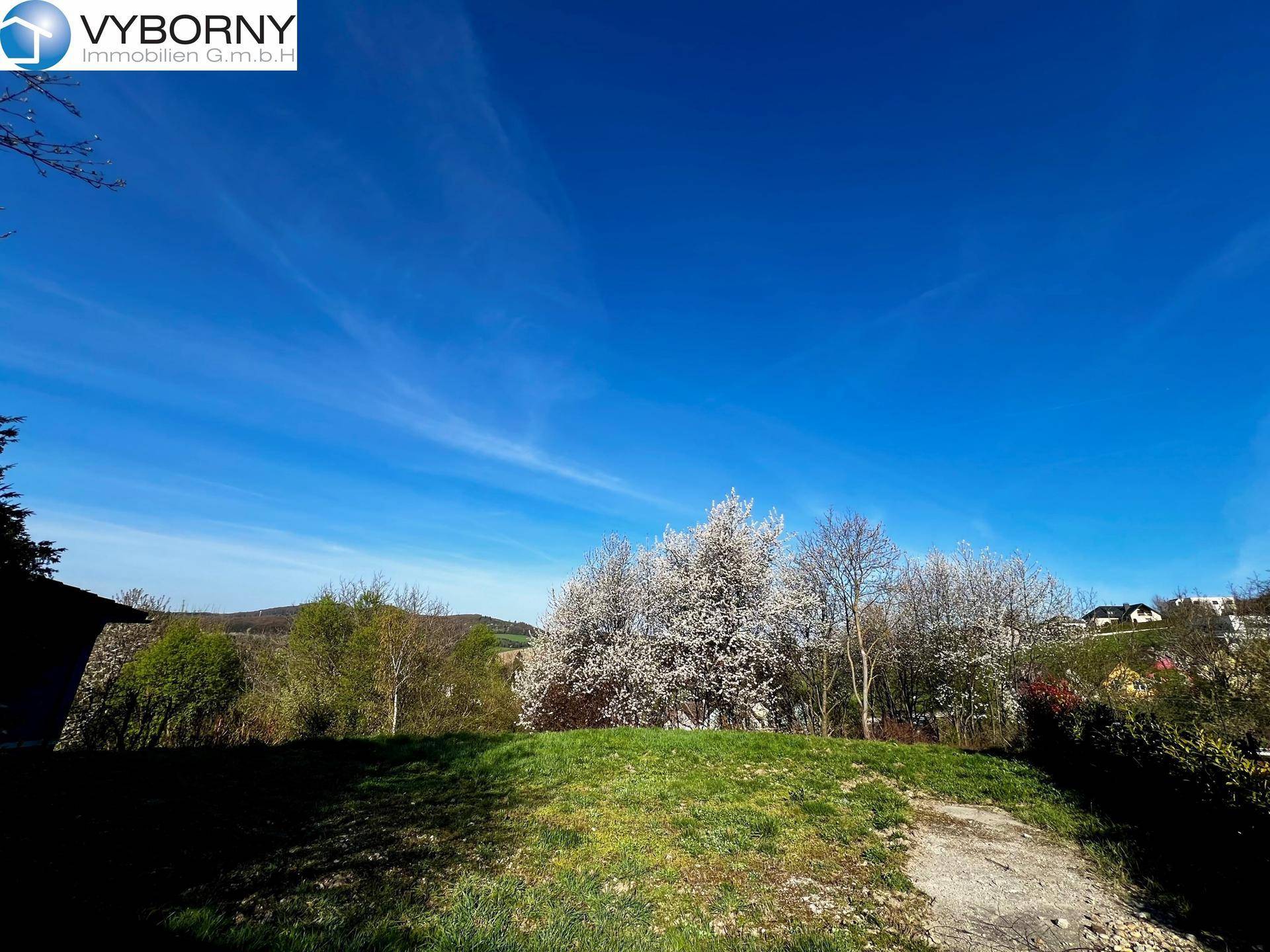 Hügeliges grünes Gelände mit blühenden Bäumen und weitem Blick auf die Landschaft unter blauem Himmel.