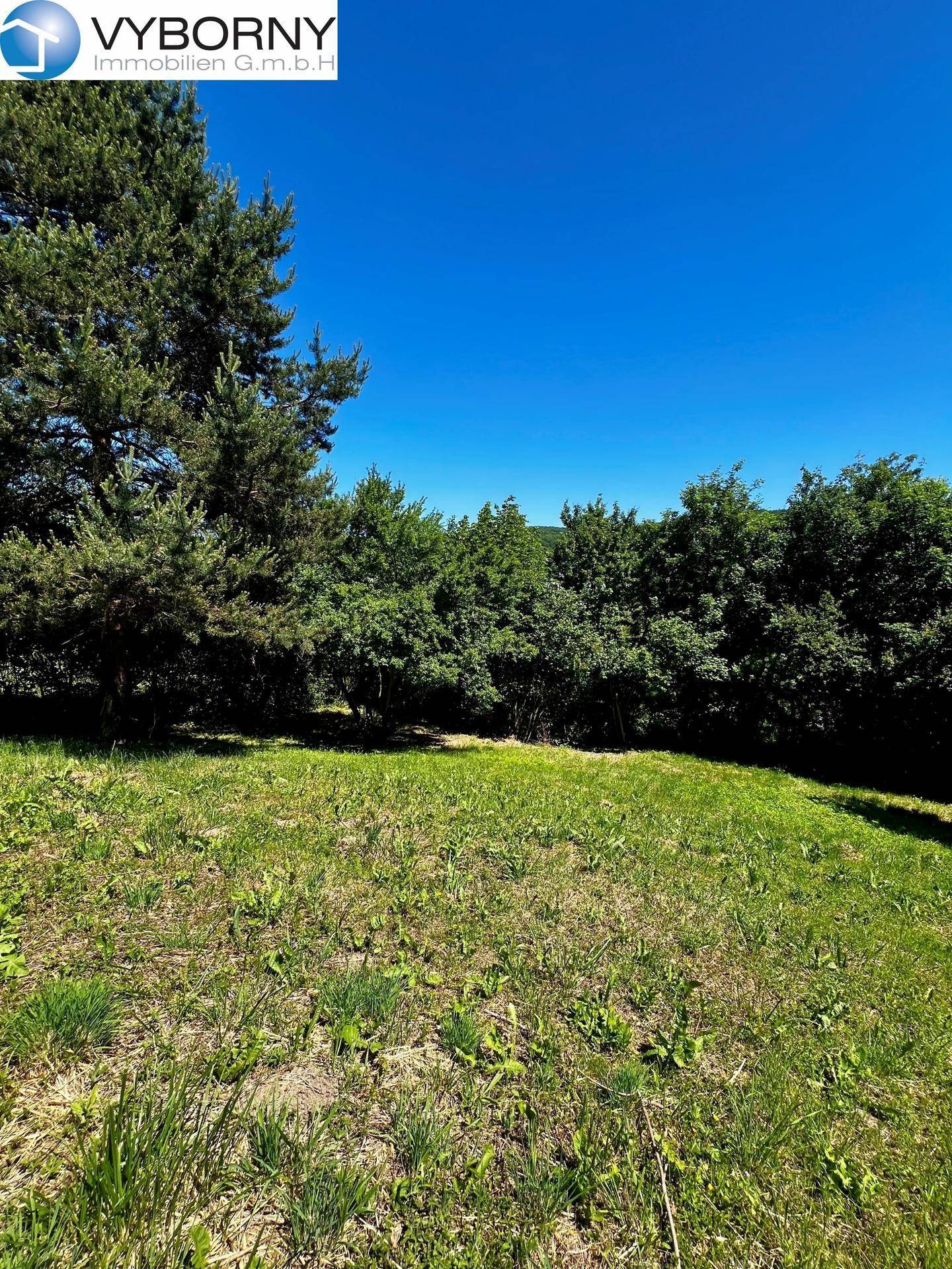 Gablitz - großes, teilbares Grundstück in ruhiger Siedlungslage - Ansicht 4
