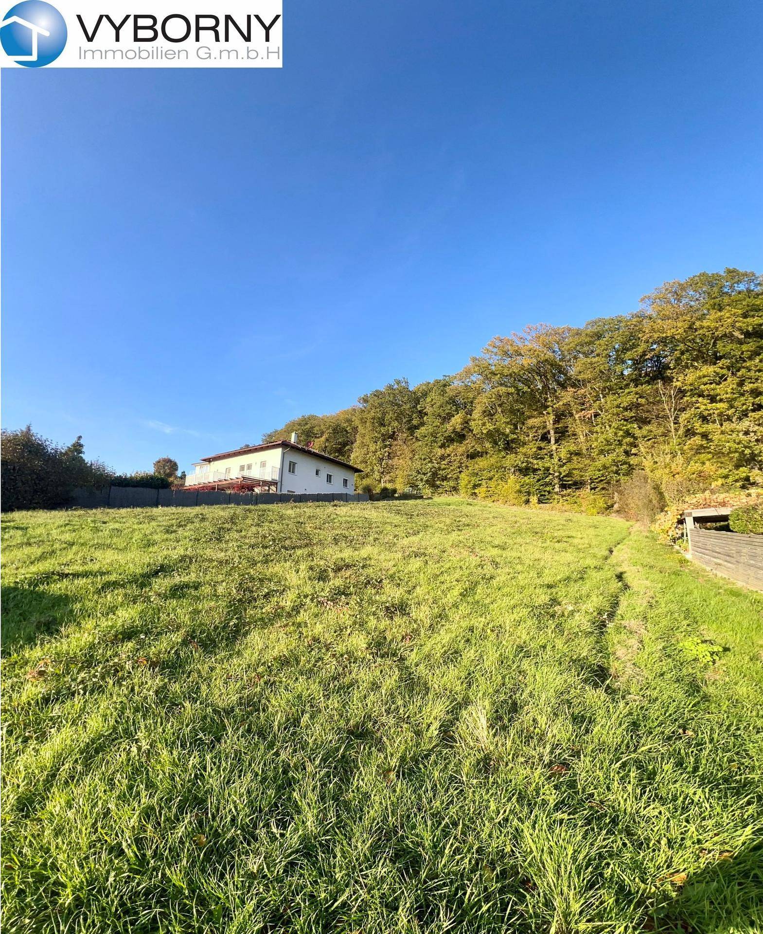Großes, sonniges Grundstück mit Hanglage und einem Haus im Hintergrund, umgeben von Bäumen.