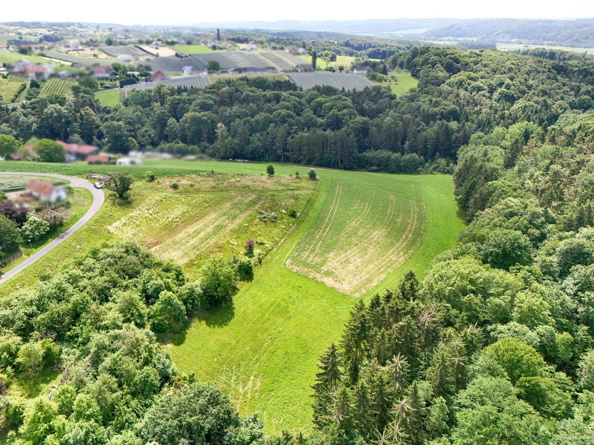 Panoramablick über grüne Felder und dichte Wälder, mit verschwommenen Häusern und Weinbergen in der Ferne.
