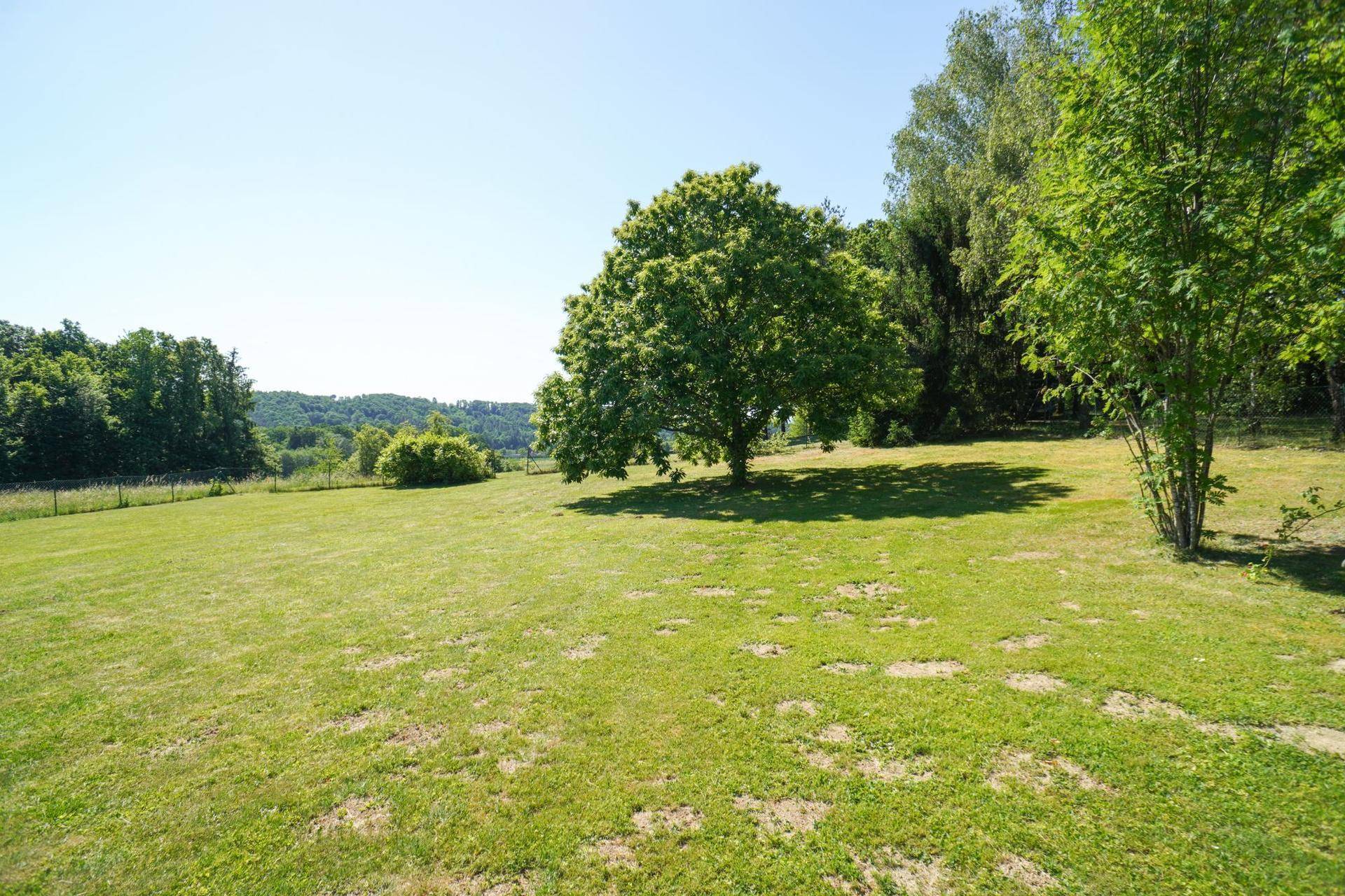 Weitläufiger grüner Garten mit einem großen Baum und Blick auf die umliegende Landschaft.