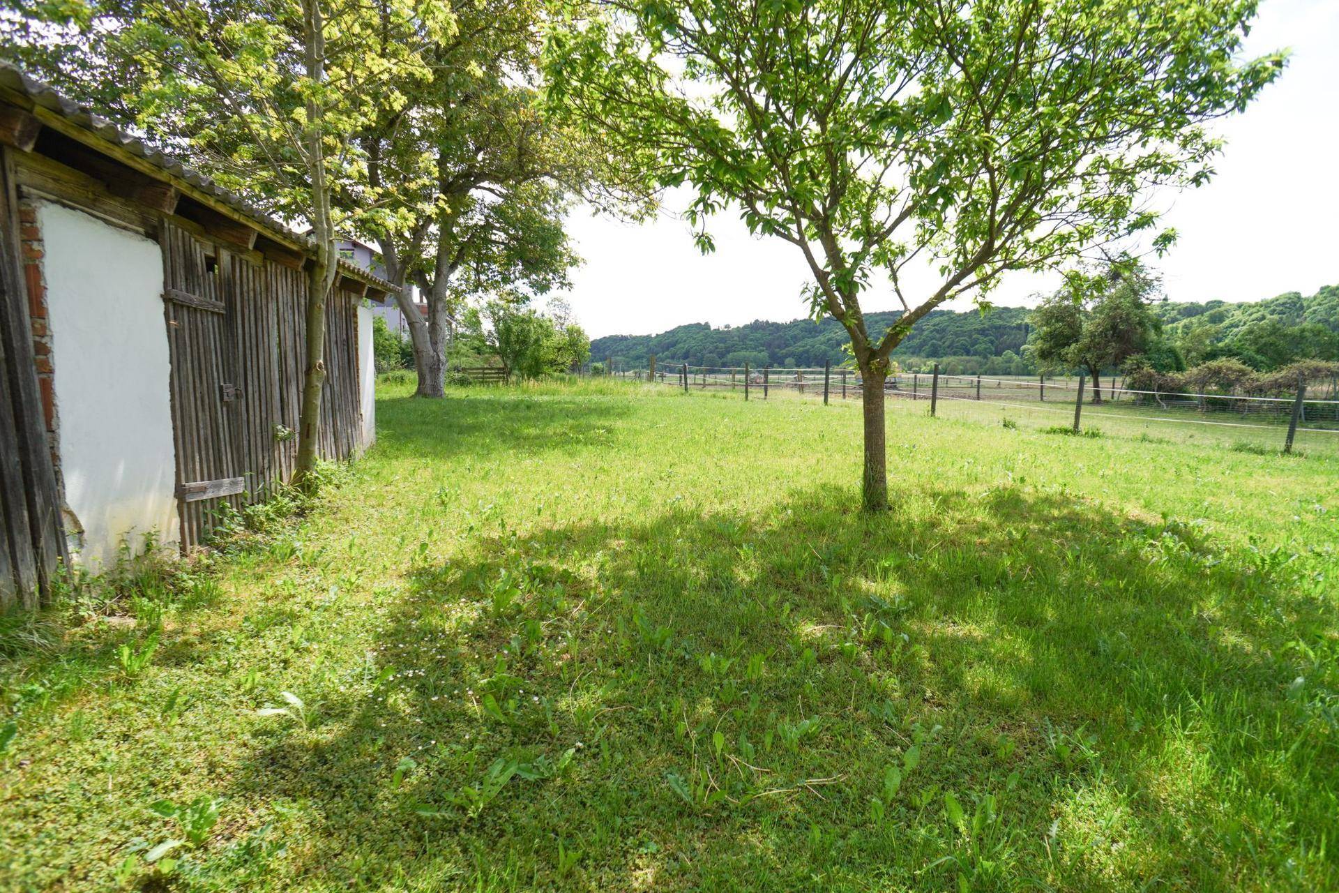 Großer grüner Gartenbereich mit alten Bäumen und einem rustikalen Holzschuppen im Hintergrund.