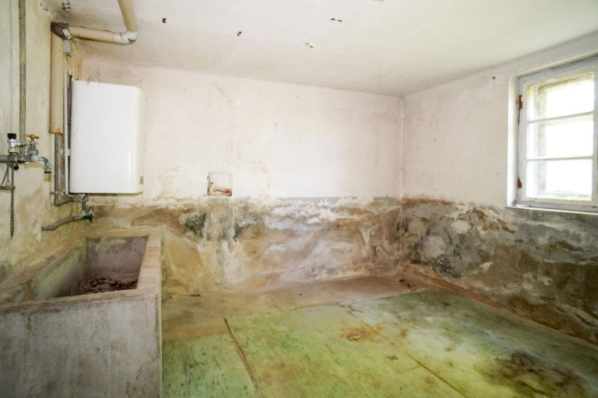 Kellerraum mit sichtbaren Feuchtigkeitsschäden an den Wänden und einem Waschbecken.