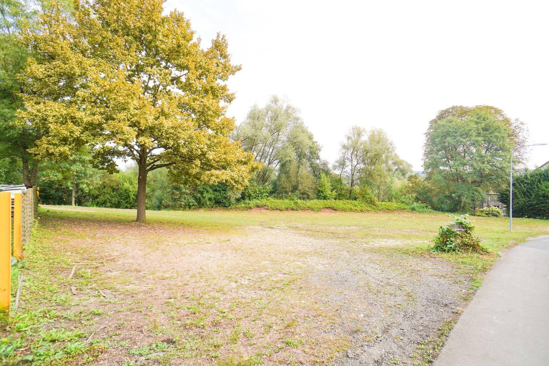 Großes, offenes Grundstück mit Grasfläche und Bäumen in ländlicher Umgebung.