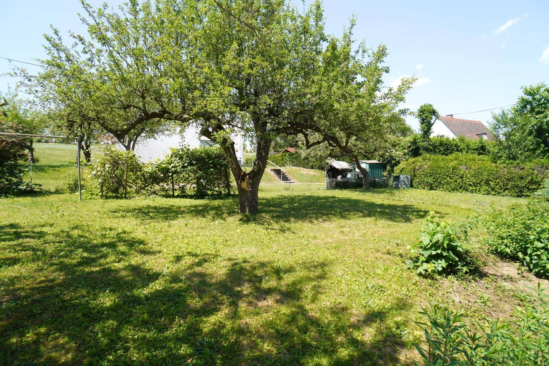 Großer, sonniger Garten mit altem Baumbestand und viel Platz zum Entspannen.