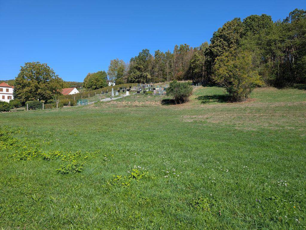 Weitläufige grüne Wiese mit Blick auf Bäume, Häuser und einen Friedhof am Horizont unter blauem Himmel.