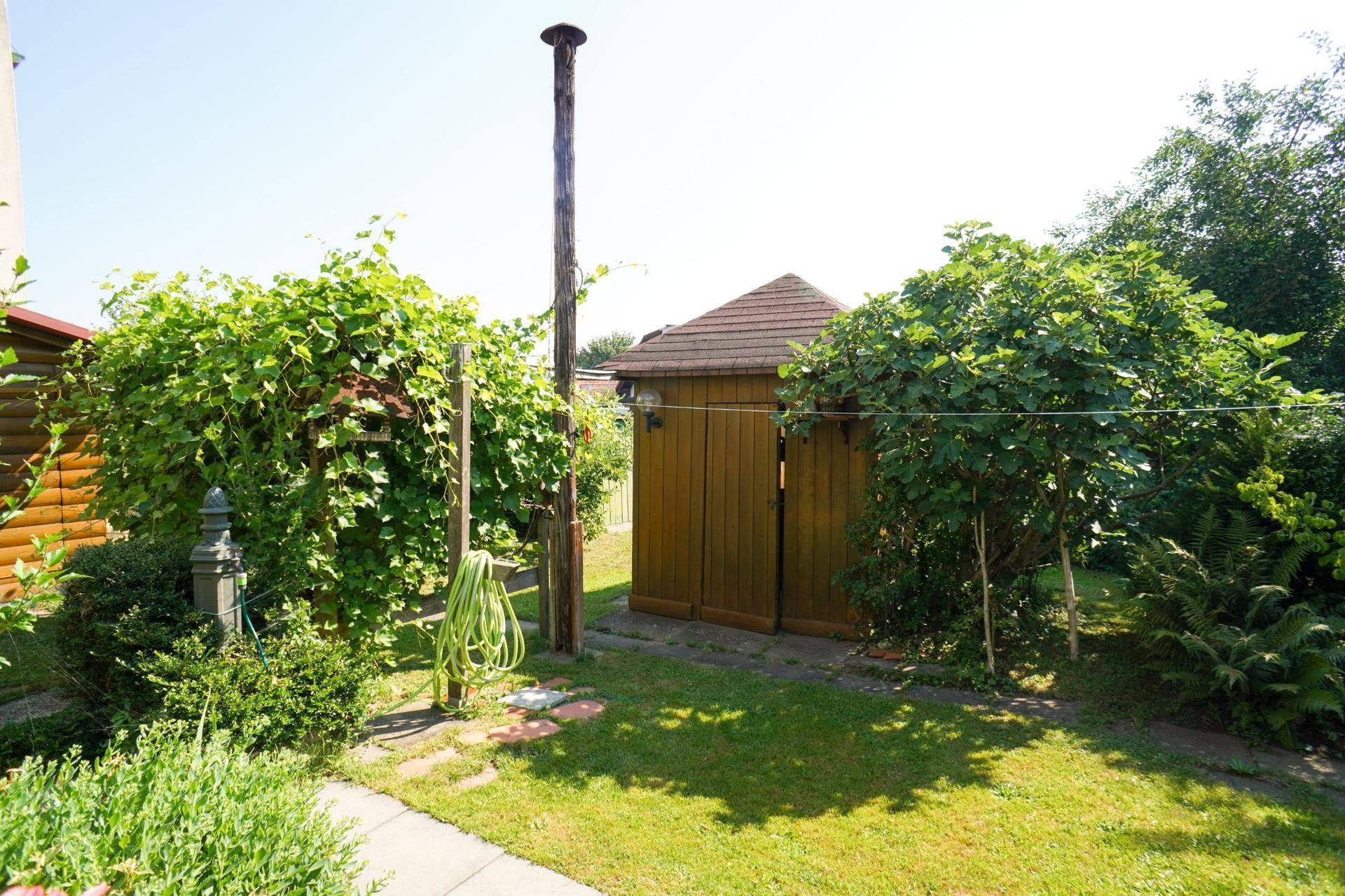 Grüner Gartenweg mit üppiger Vegetation, Gartenhaus und Rankhilfen für Pflanzen im Sonnenlicht.