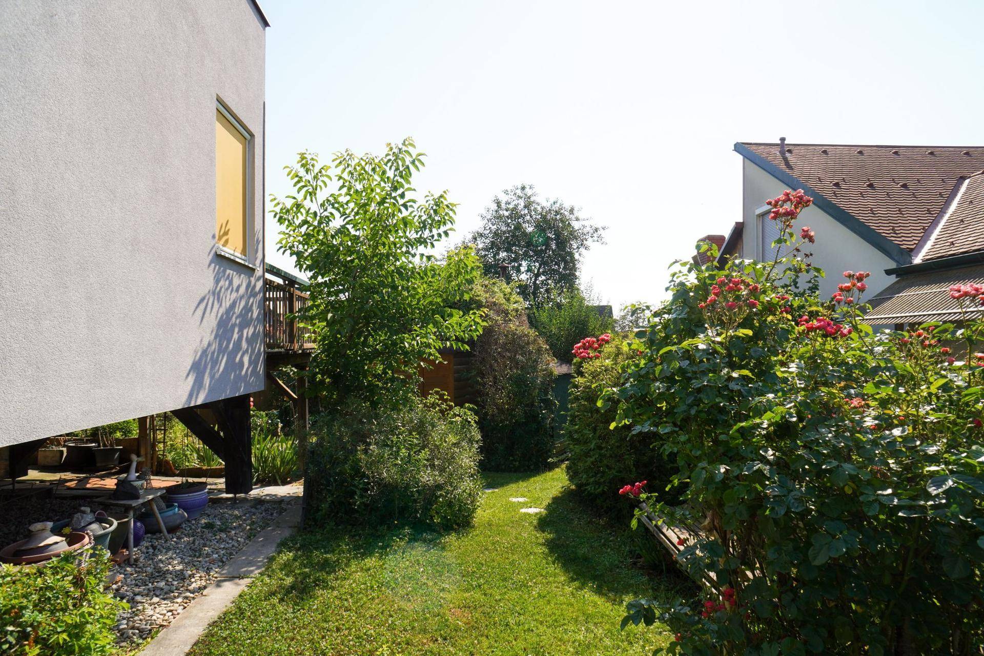 Sonnige Gartenecke mit Rosenbüschen und einem gepflegten Rasen neben dem modernen Gebäude.