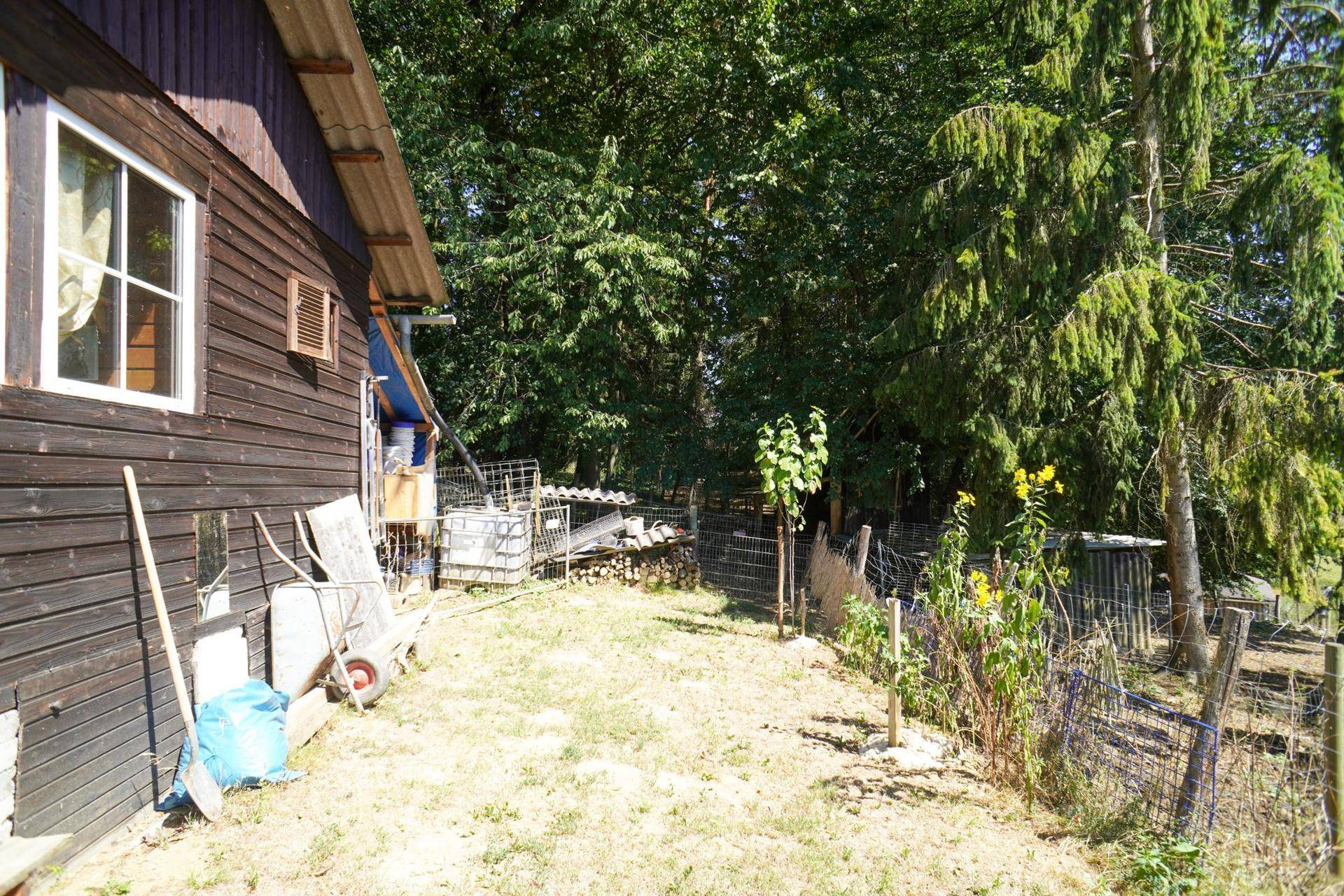 Seitenansicht des Holzhauses mit Fenstern, umgeben von Bäumen und einem einfachen Gartenbereich.