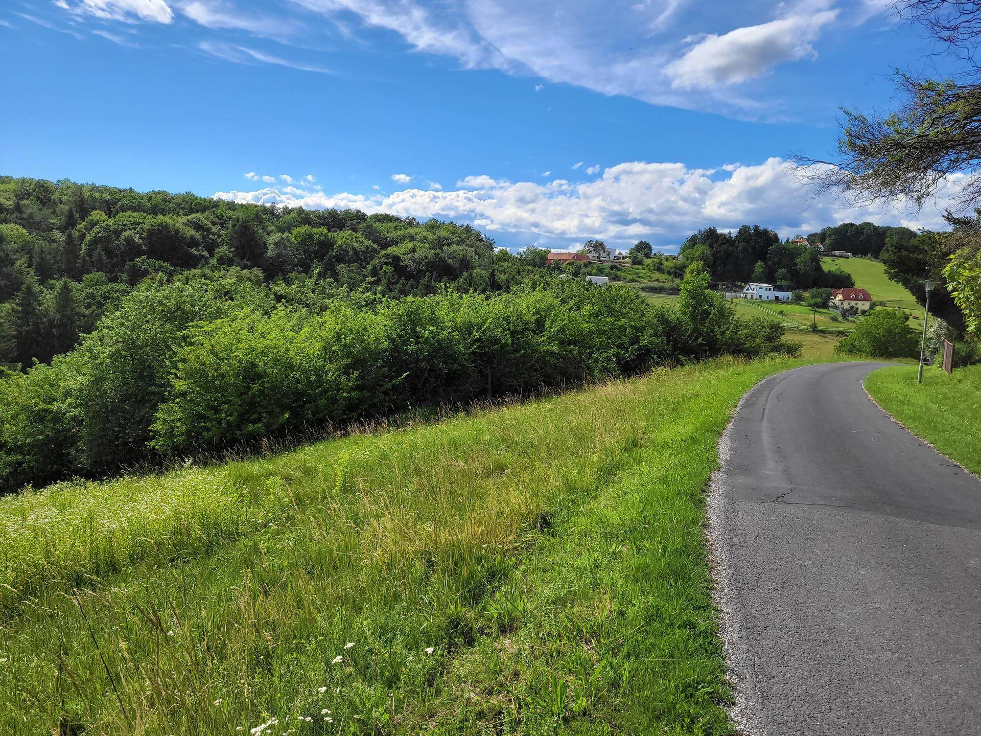 Geschwungene Landstraße führt durch eine grüne, hügelige Landschaft mit Bäumen und Häusern in der Ferne.