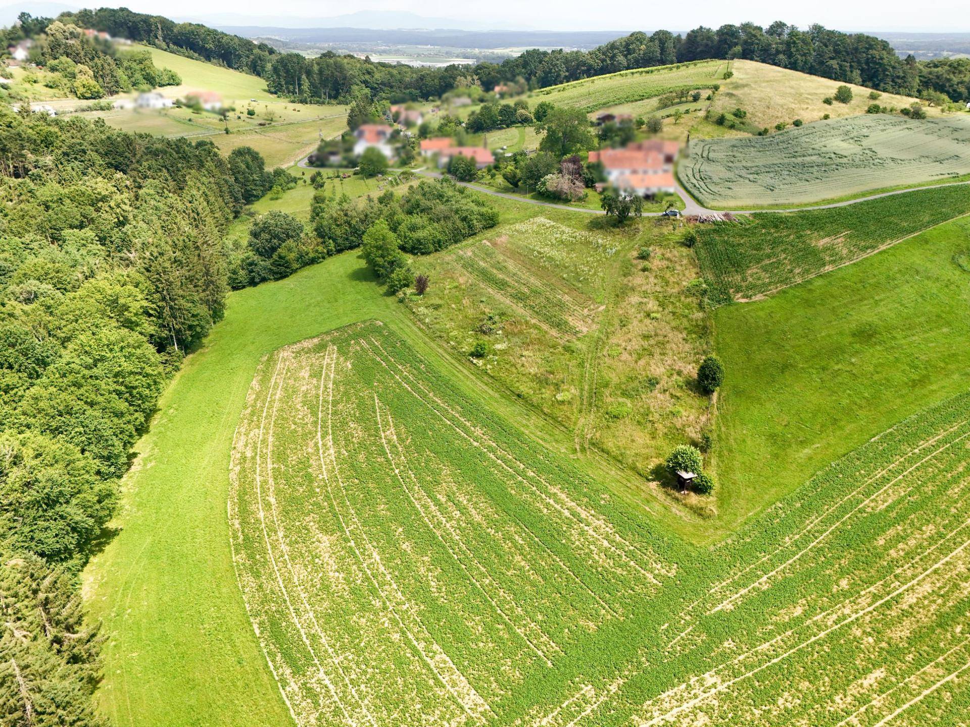Weitläufige grüne Felder und Wälder in einer hügeligen Landschaft mit vereinzelten Häusern im Hintergrund.
