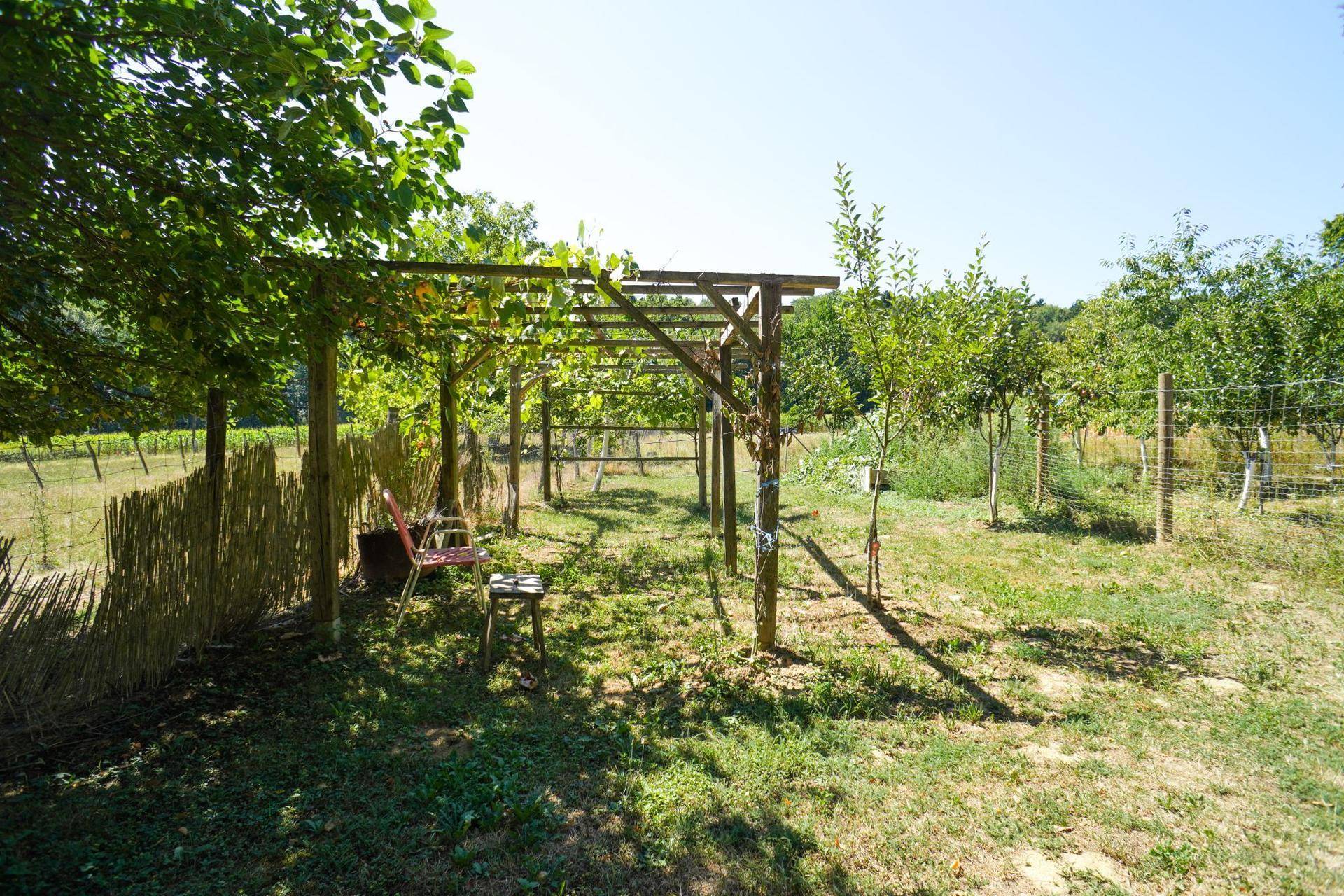 Holzpergola in einem sonnigen Gartenbereich, umgeben von Bäumen und Sträuchern.