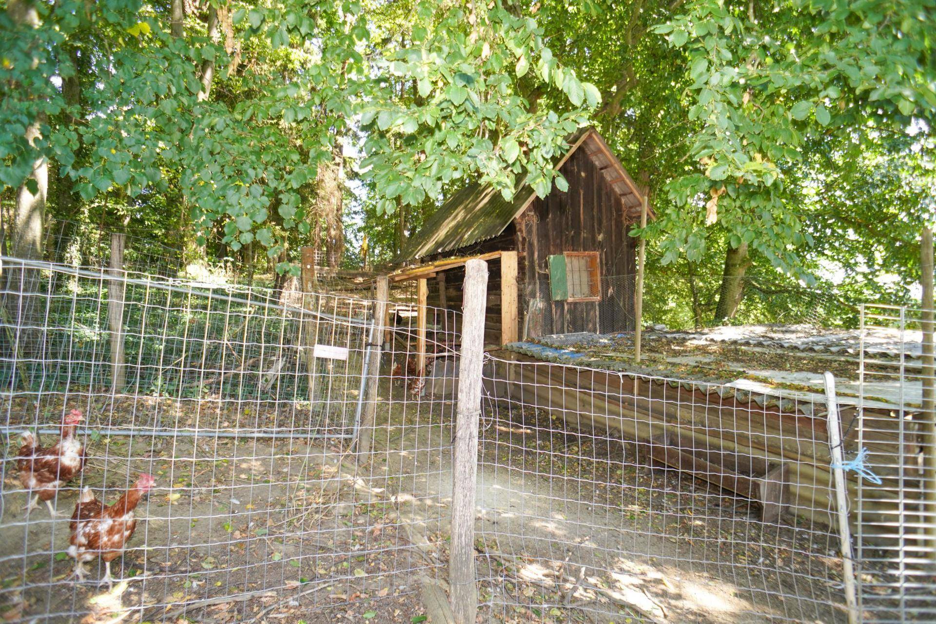 Rustikaler Hühnerstall mit Holzzaun, umgeben von Bäumen und viel Grün.