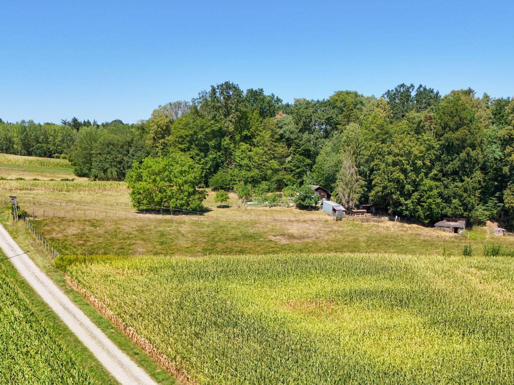Weitläufige Landschaftsaufnahme mit Feldern, Wald und einem kleinen Anwesen im Grünen.