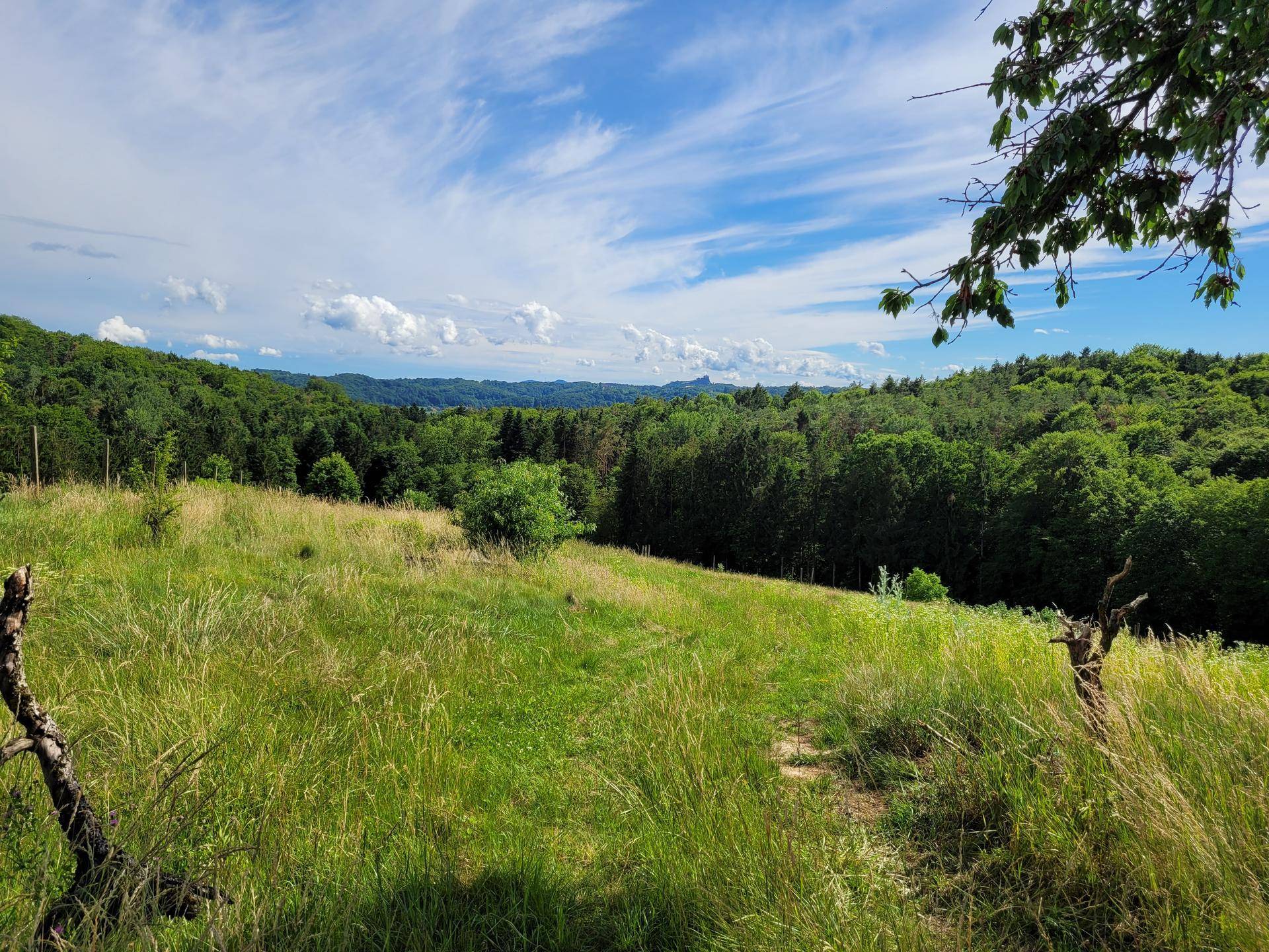 Grüne Hügellandschaft mit weiten Wiesen und dichten Wäldern, unter einem strahlend blauen Himmel mit Wolken.