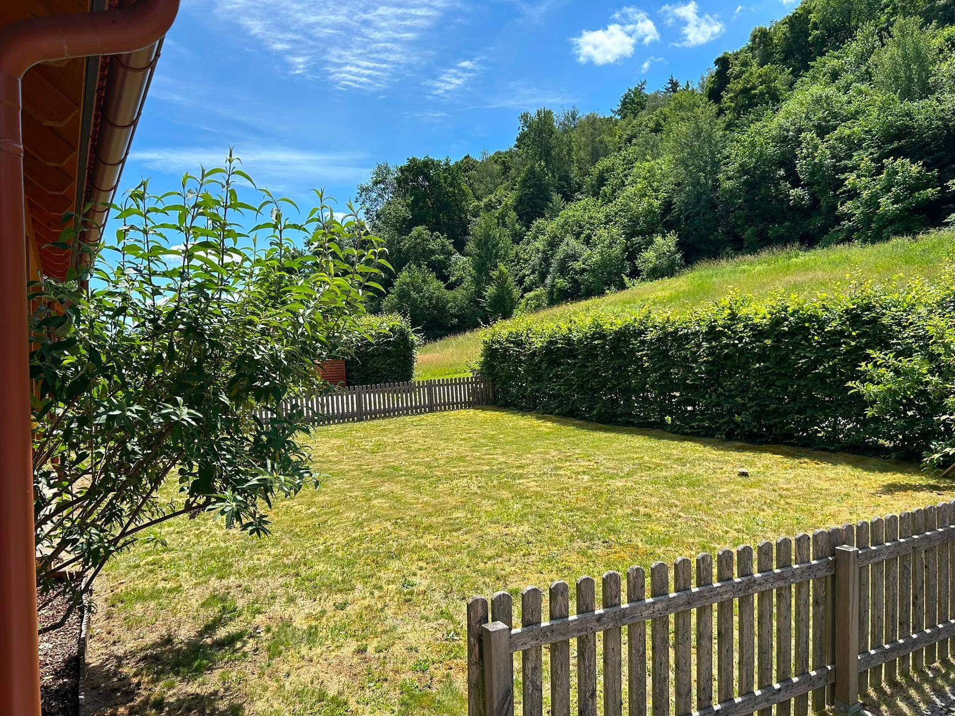 Grüner Garten mit Holzzaun und Blick auf einen bewaldeten Hügel unter blauem Himmel.