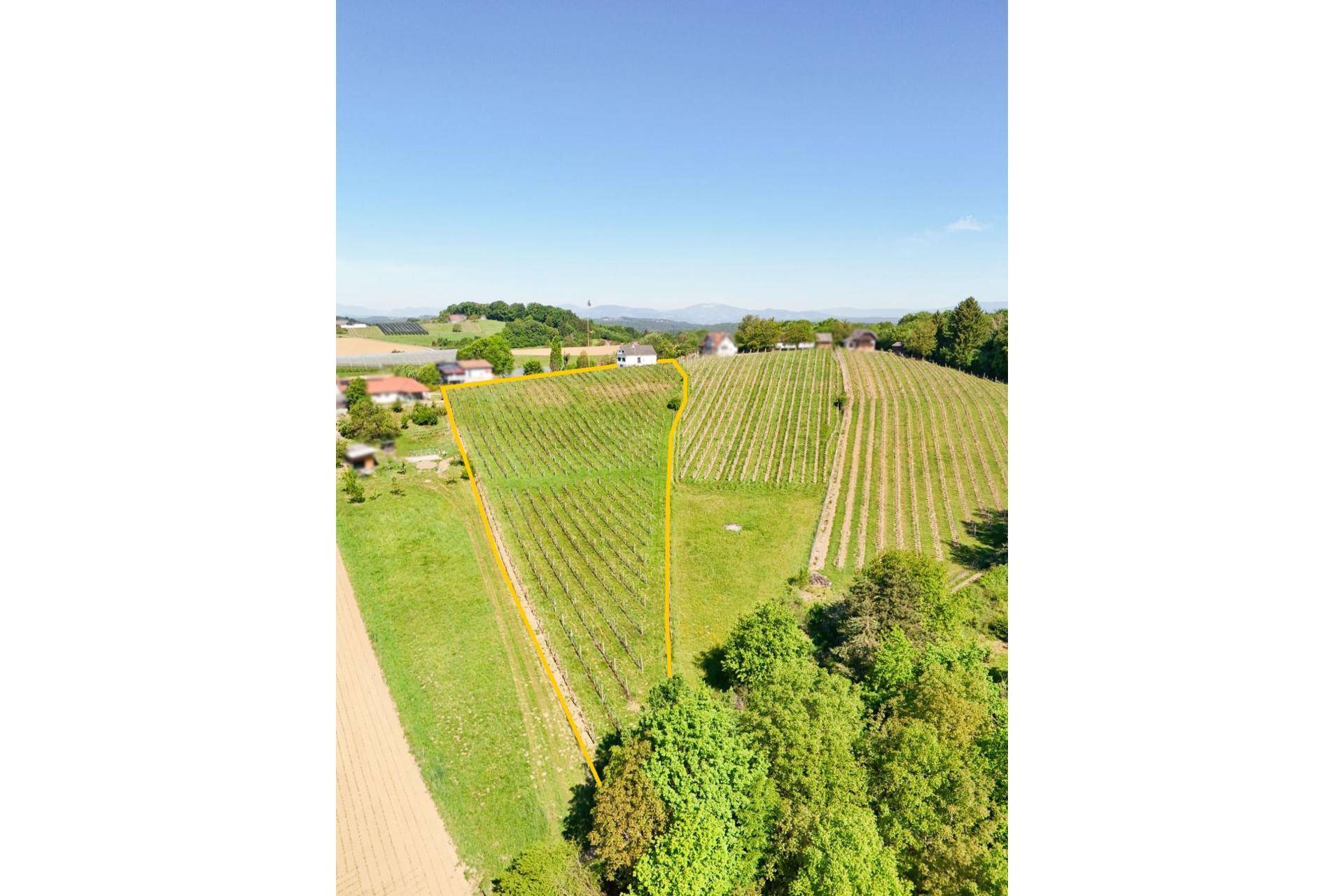 Traumhafte Liegenschaft mit Kellerstöckl und Blick auf die Riegersburg - Ansicht 3