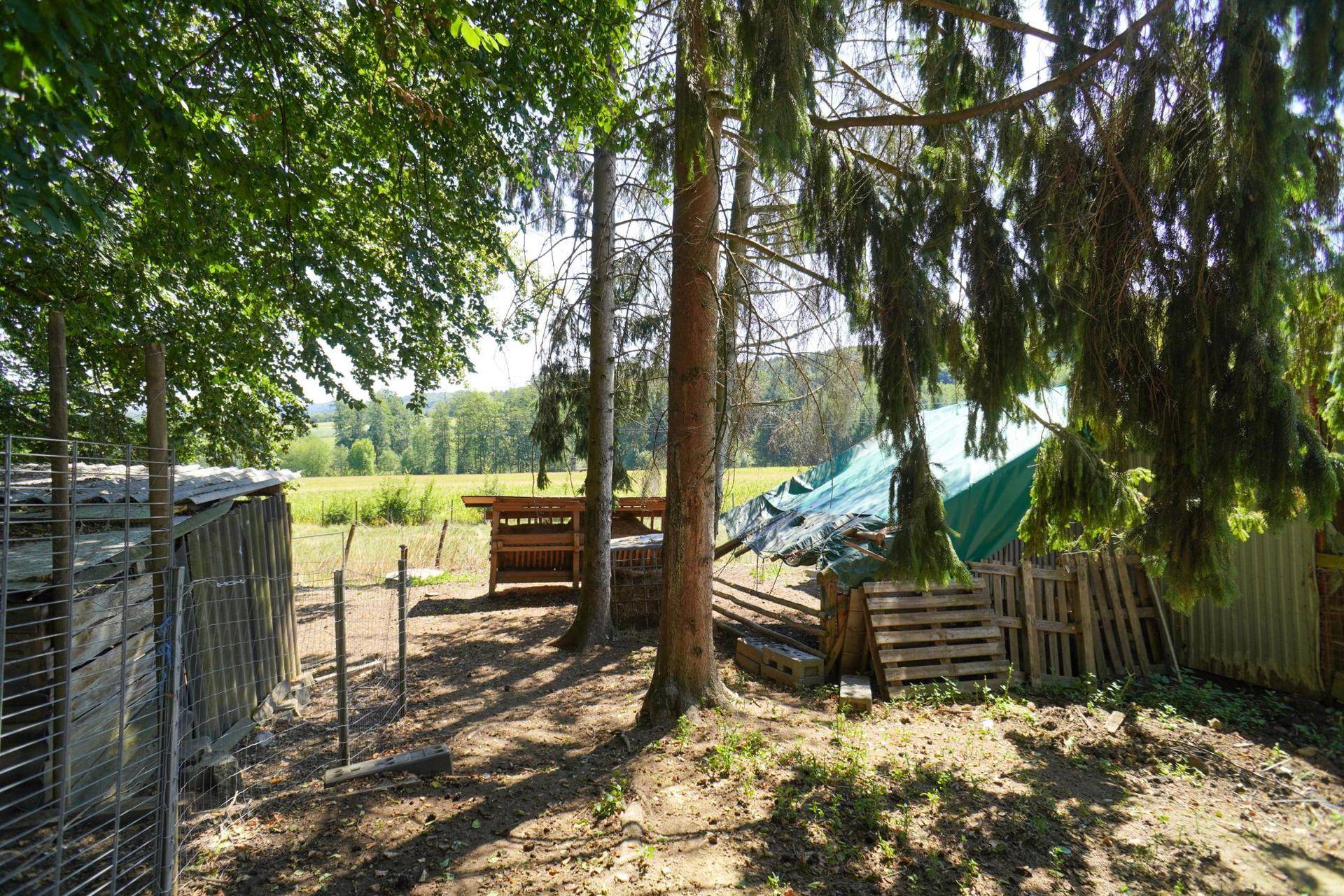 Verschiedene Unterstände und Lagerbereiche unter Bäumen, angrenzend an eine Wiese.