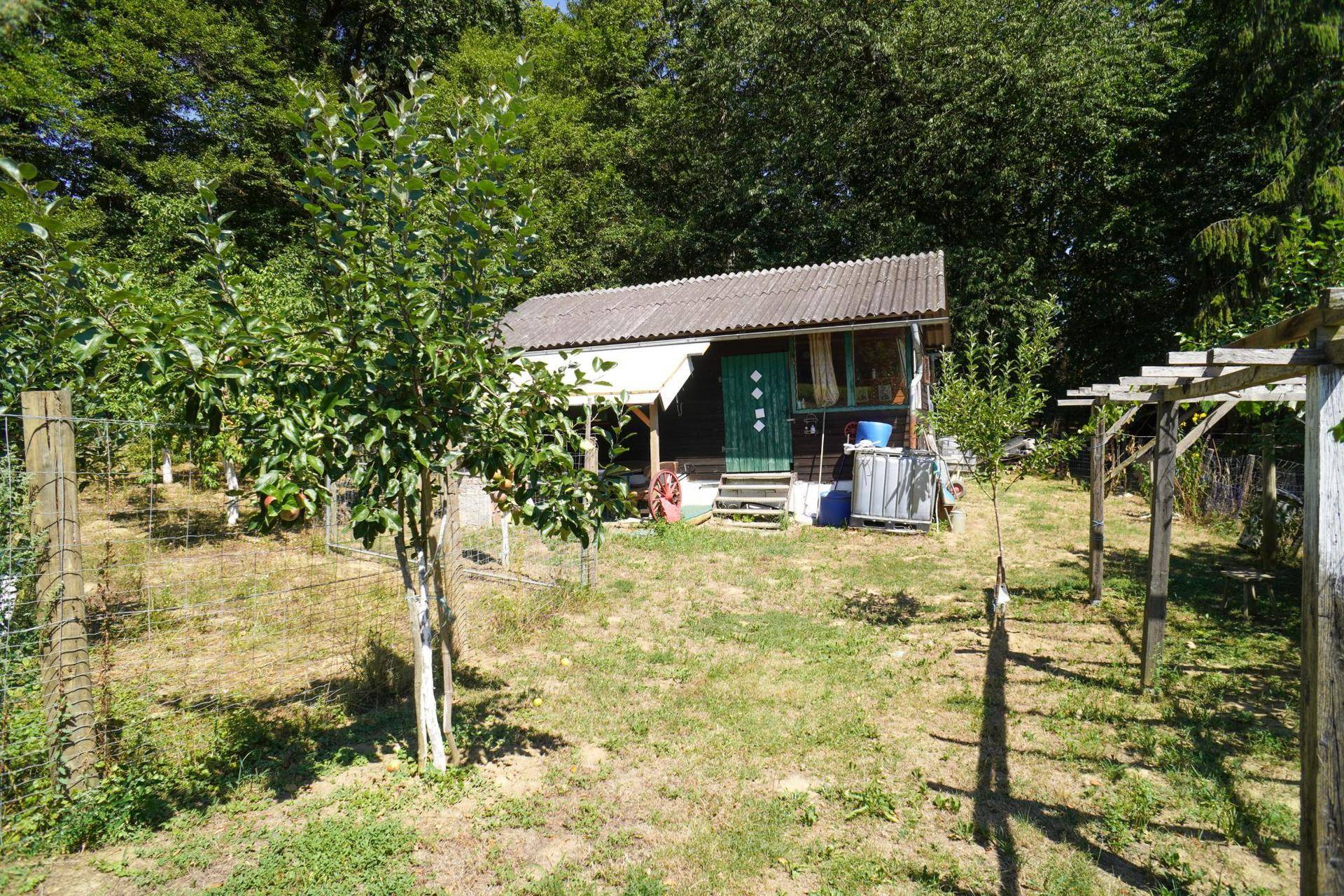 Kleines Holzhaus mit Wellblechdach, umgeben von jungen Obstbäumen und einem Garten.