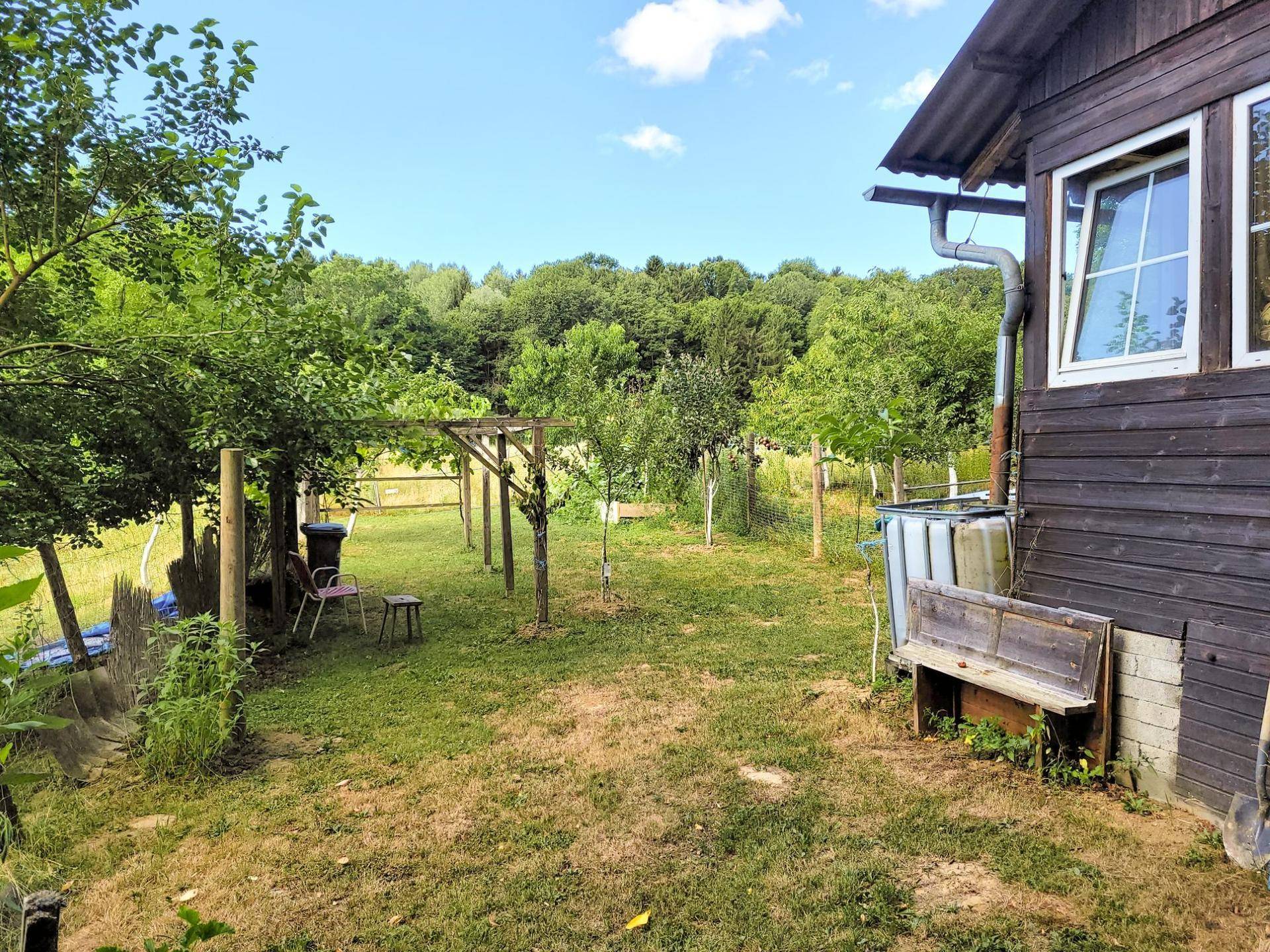 Seitenansicht des Holzhauses mit Fenstern und einem gepflegten Gartenbereich mit Bäumen.