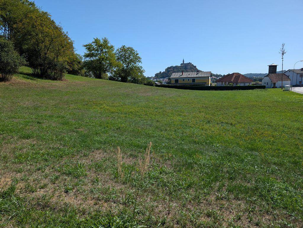 Offene grüne Fläche mit Blick auf Häuser, eine Straße und eine Burg auf einem Hügel in der Ferne.