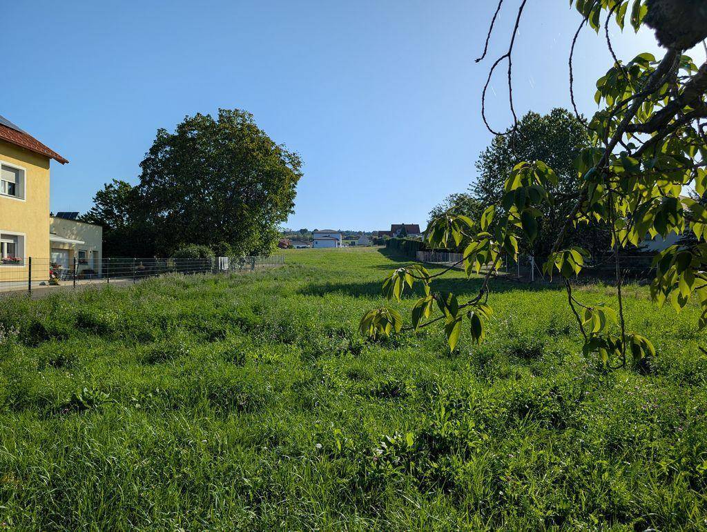 Weitläufige grüne Wiese mit einem Wohnhaus und Bäumen, umrahmt von Blättern im Vordergrund.