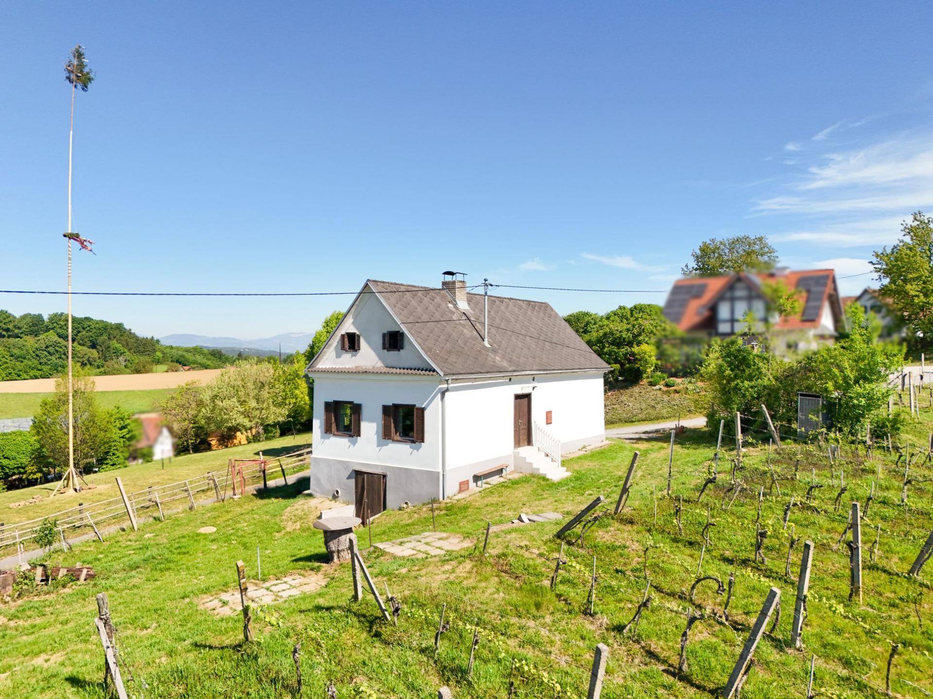 Freistehendes Haus umgeben von Weinbergen und einem Maibaum in ländlicher Umgebung.
