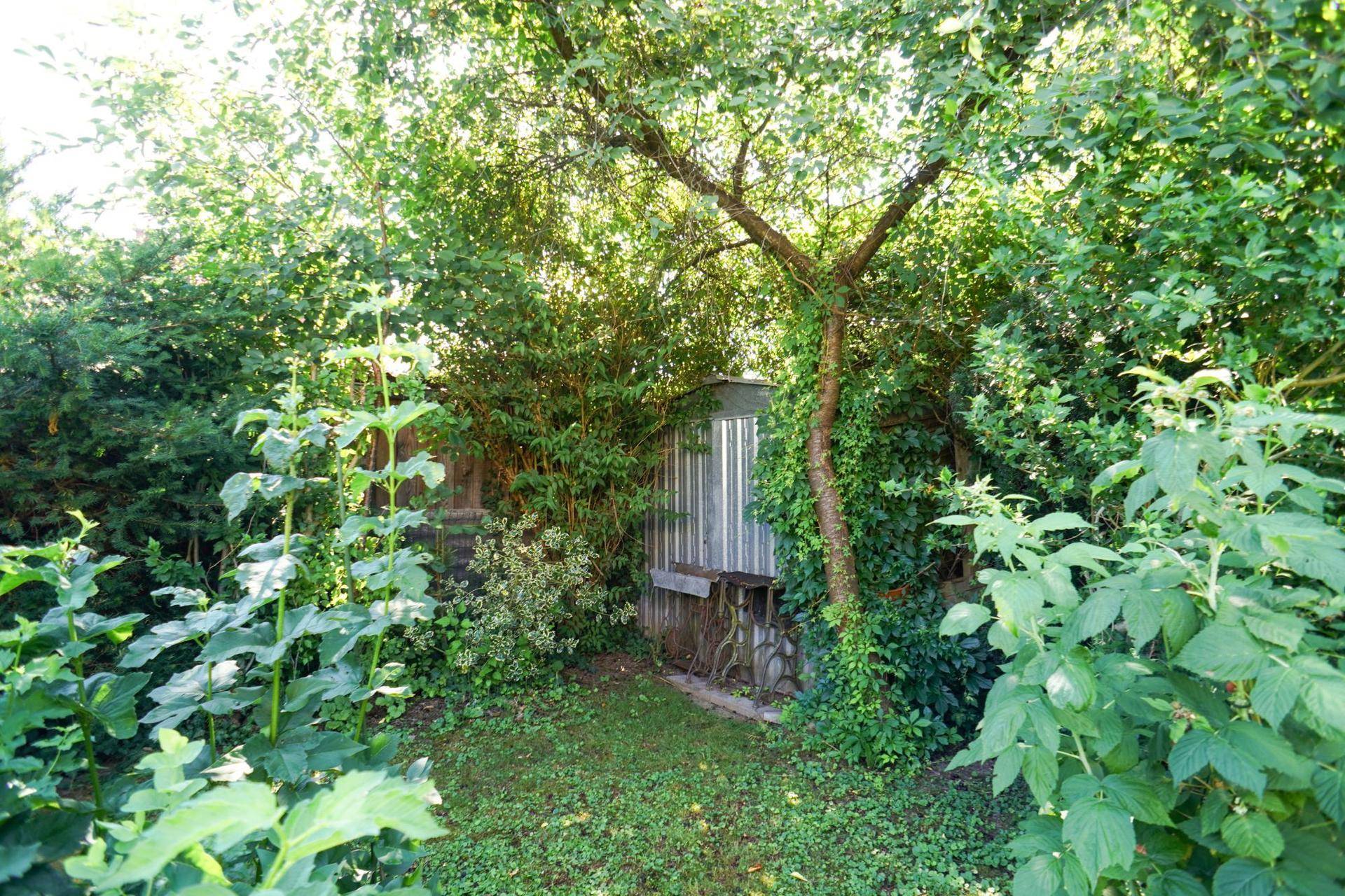 Dichter, naturbelassener Gartenbereich mit üppiger Vegetation und verstecktem Unterstand.