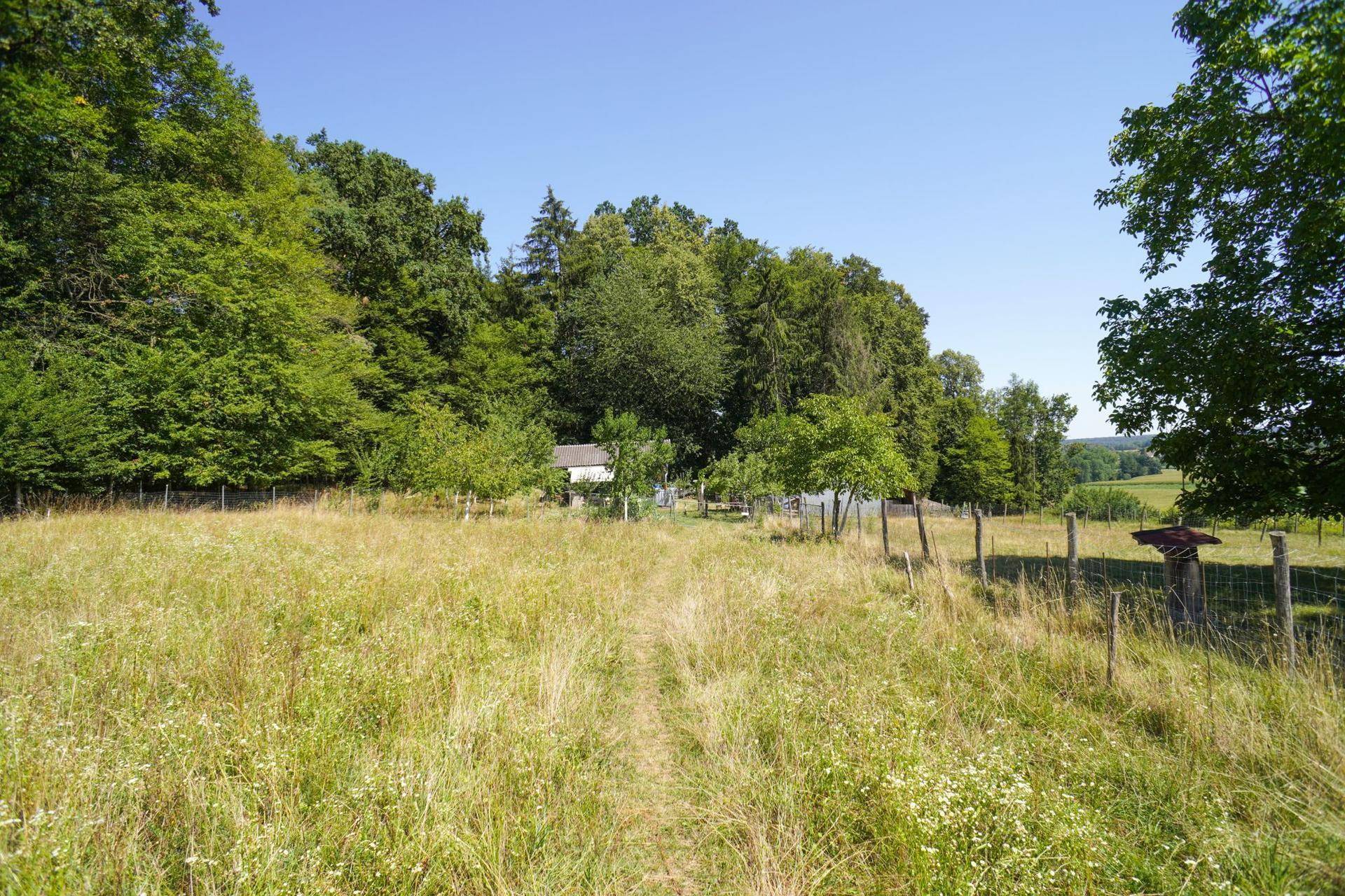 Blick über eine Wiese zum kleinen Gebäude am Waldrand, umgeben von Natur.