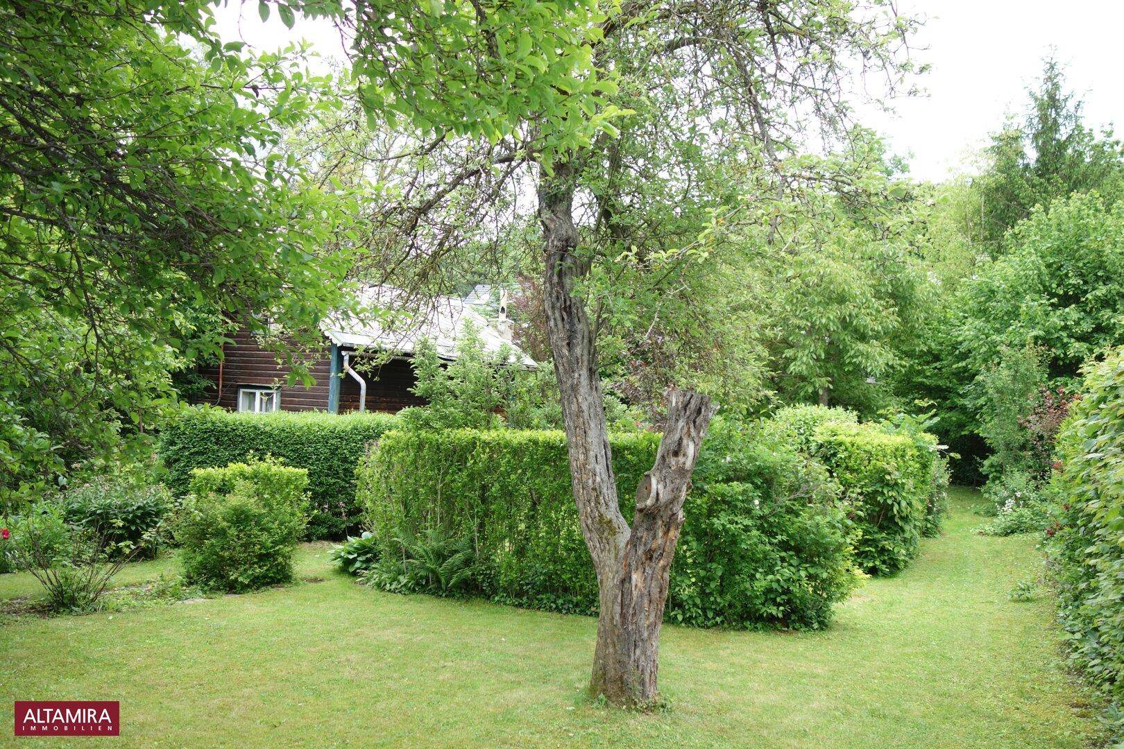 Weitläufiger Garten mit gepflegtem Rasen, hohen Hecken und altem Baumbestand.