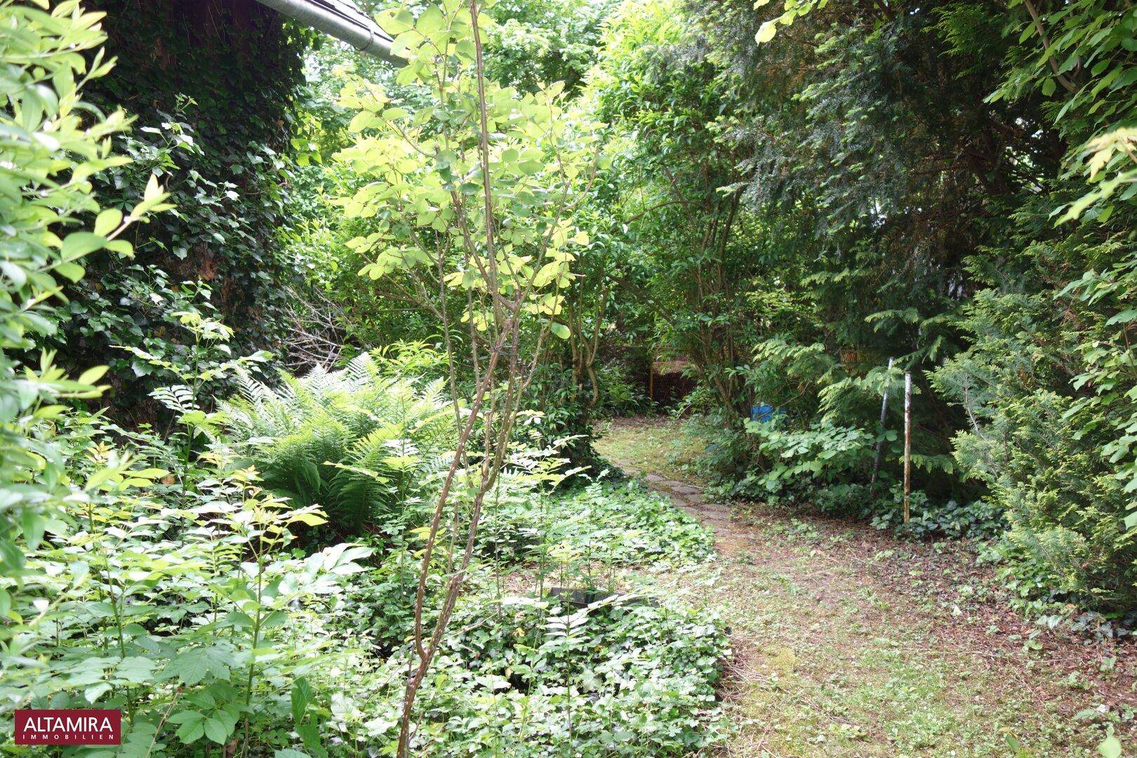 Schmaler Pfad schlängelt sich durch einen dicht bewachsenen, naturnahen Gartenbereich.