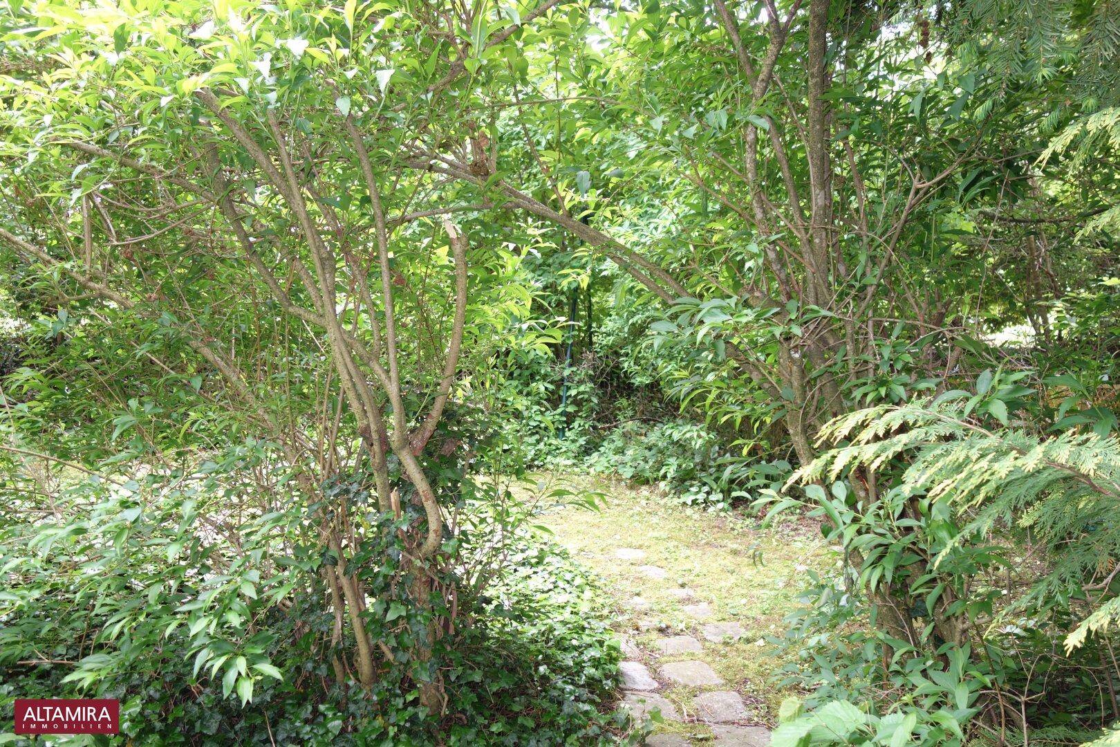 Steinplattenweg führt durch einen üppigen Garten mit vielen Sträuchern und Bäumen.