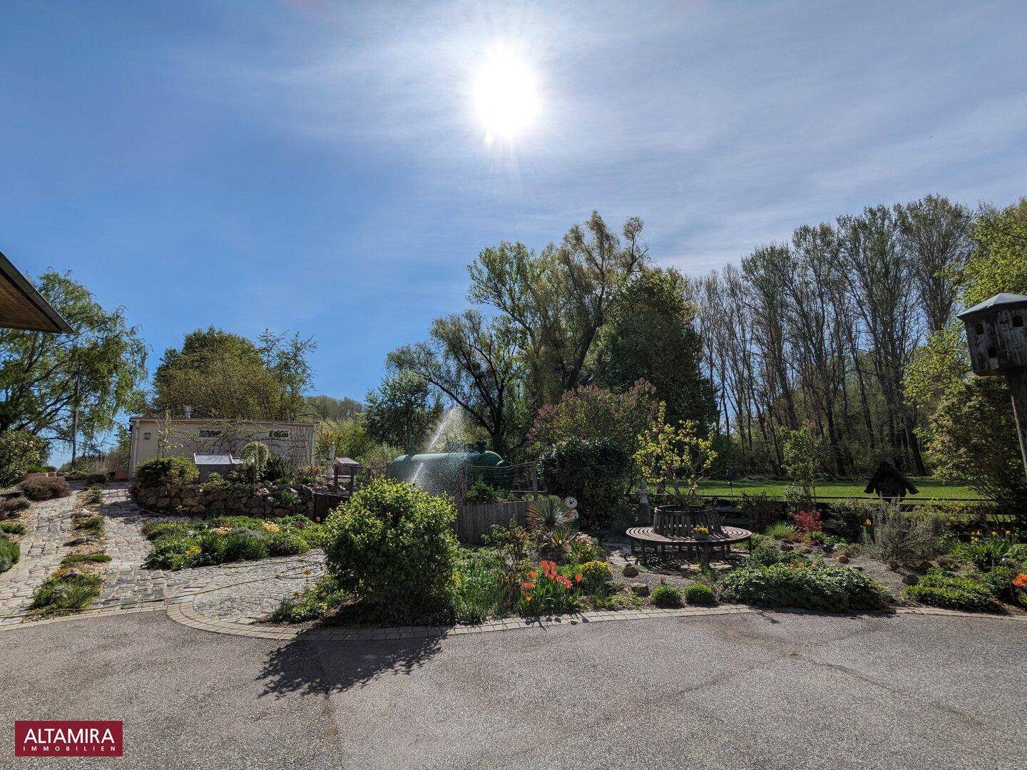 Sonniger Gartenbereich mit gepflastertem Weg, vielfältiger Bepflanzung und hohen Bäumen im Hintergrund.